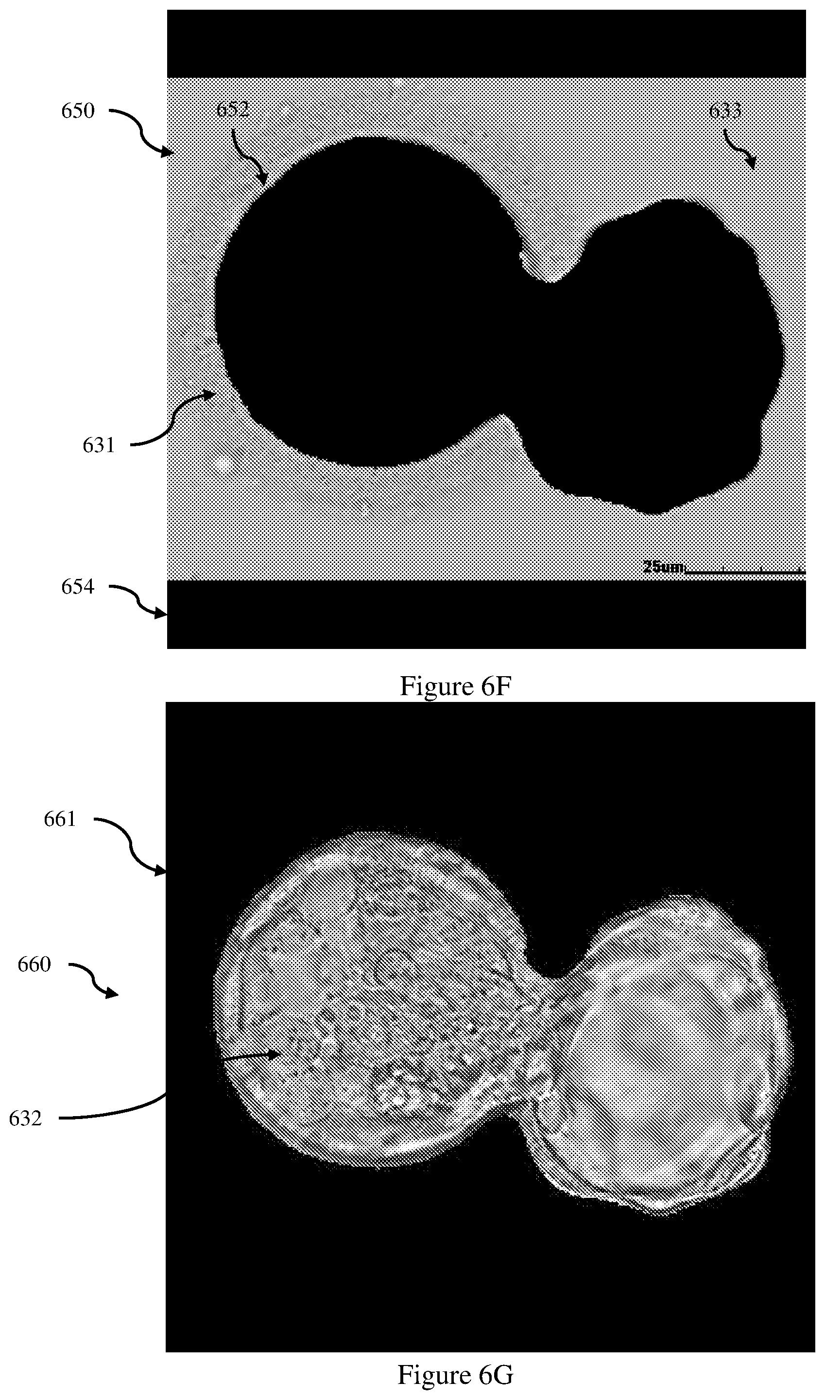 Patent US12333715 Figure 9 – Method and system for selecting embryos