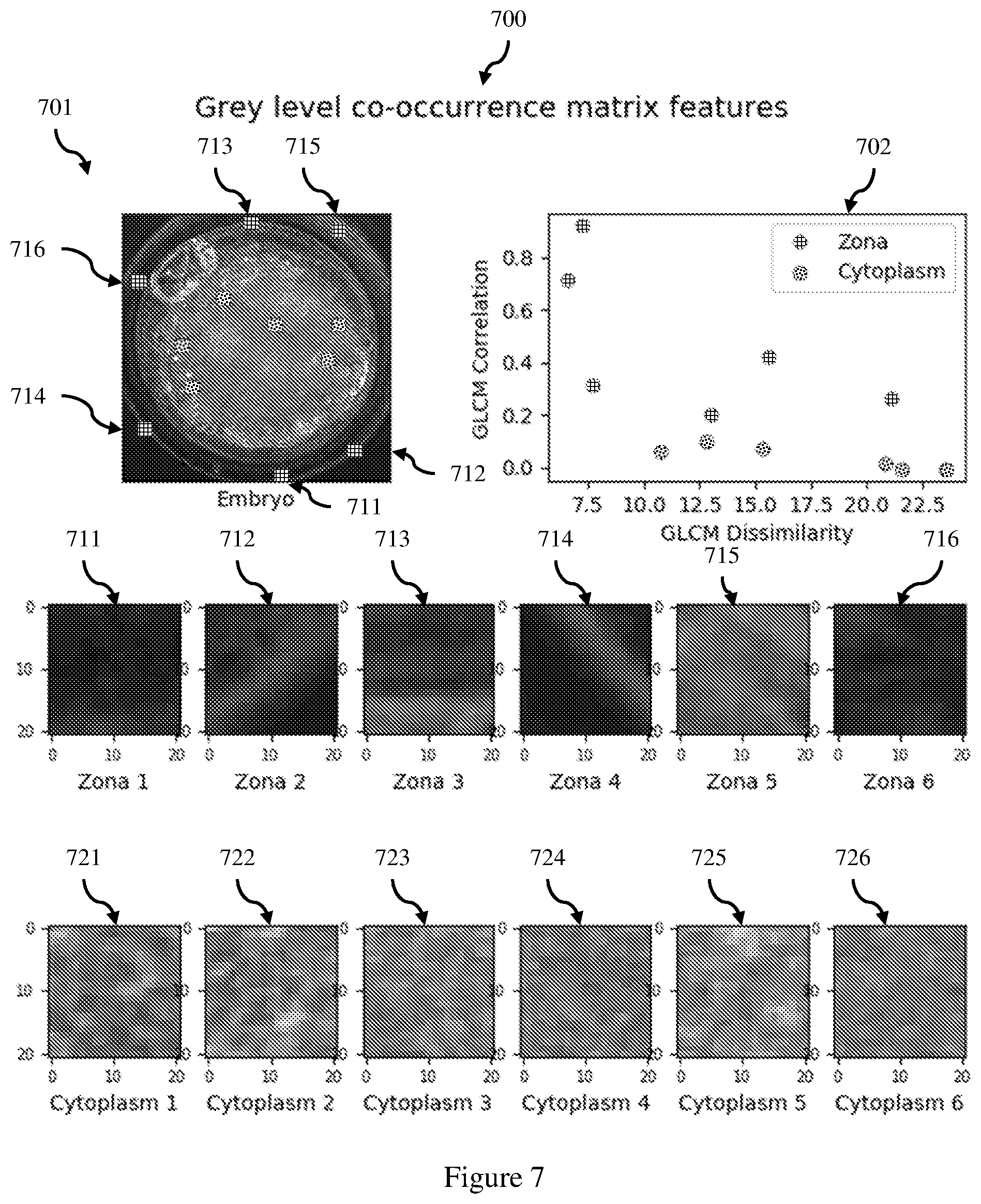 Patent US12333715 Figure 10 – Method and system for selecting embryos