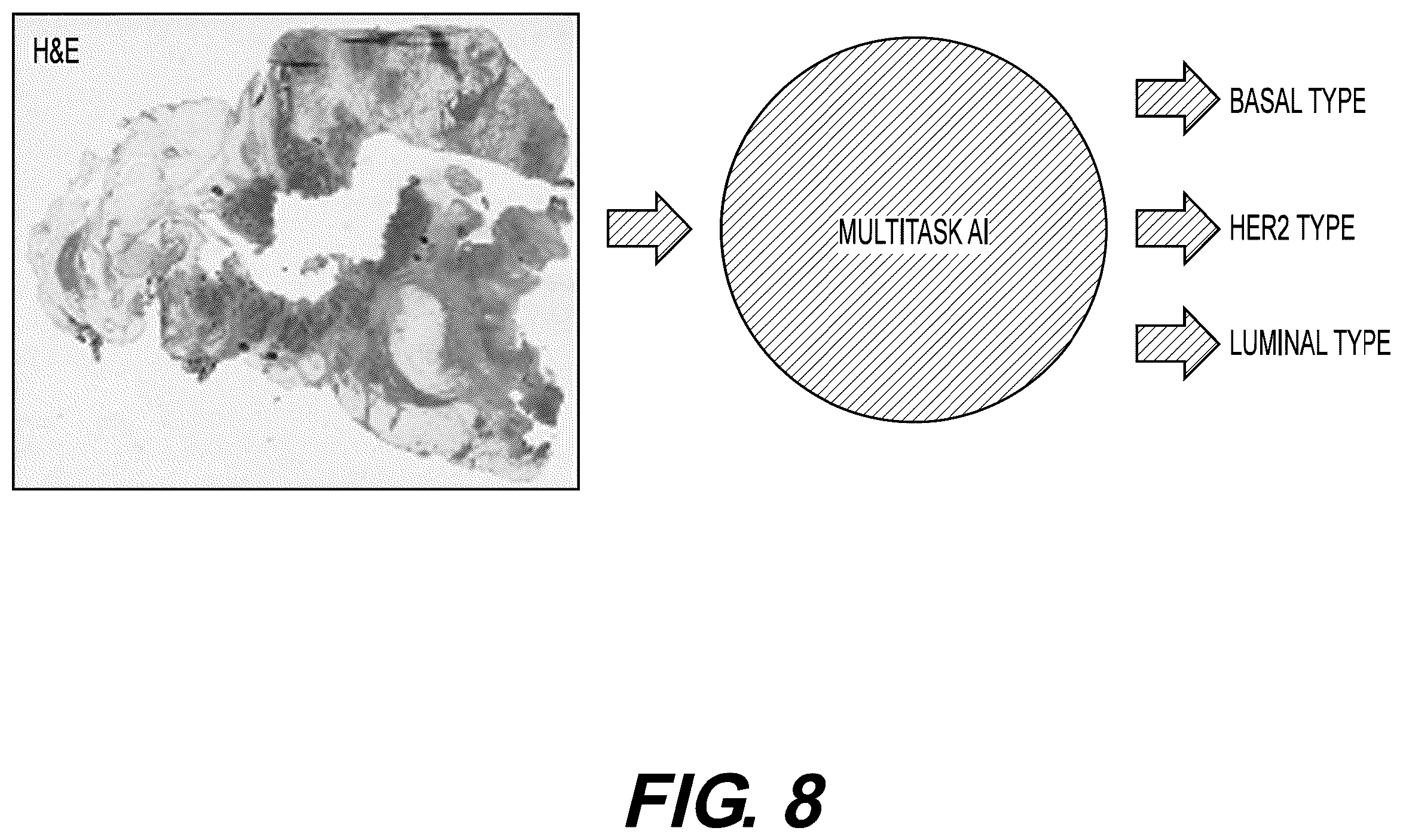 Patent US12333719 Figure 10 – Systems and methods to process electronic images for continuous biomarker prediction