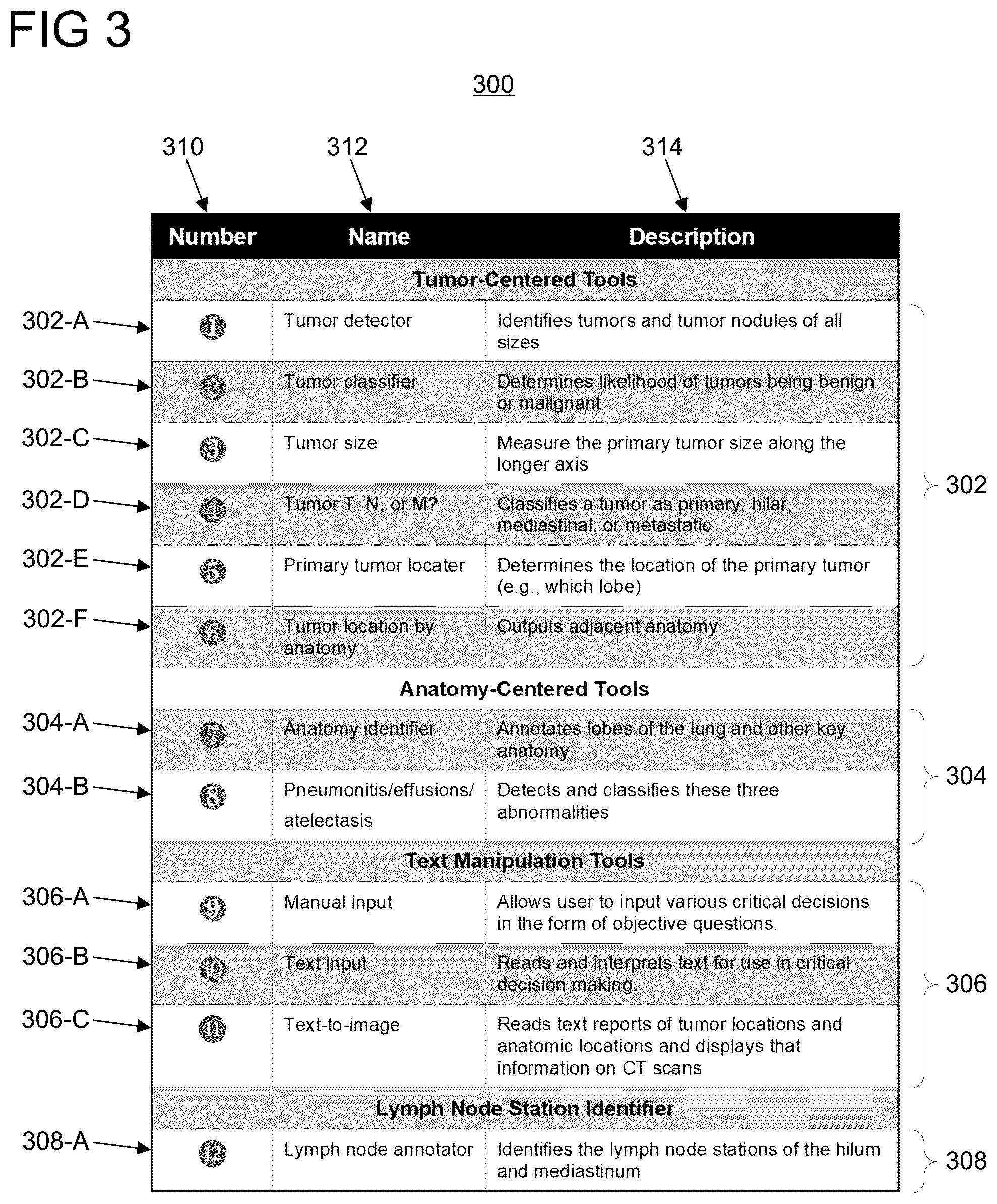 Patent US12333729 Figure 3 – Automatic staging of non-small cell lung cancer from medical imaging and biopsy reports