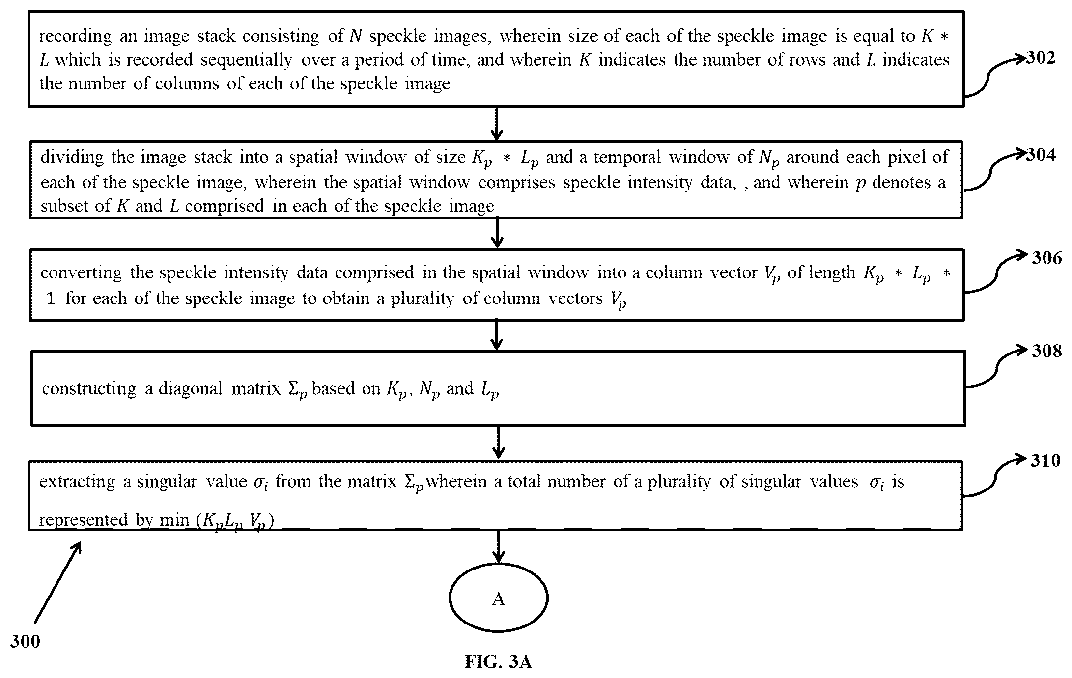 Patent US12333734 Figure 3 – System and method for imaging of localized and heterogeneous dynamics using laser speckle