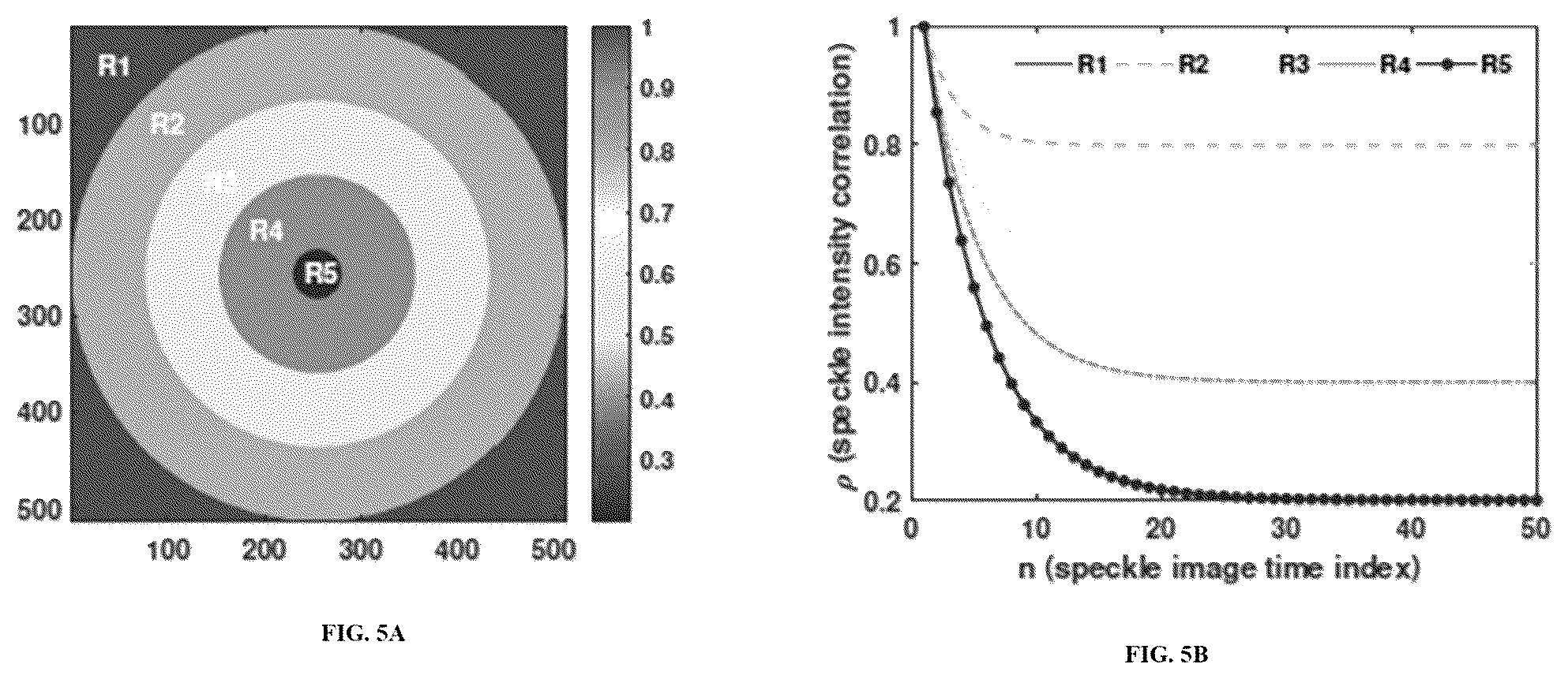 Patent US12333734 Figure 6 – System and method for imaging of localized and heterogeneous dynamics using laser speckle