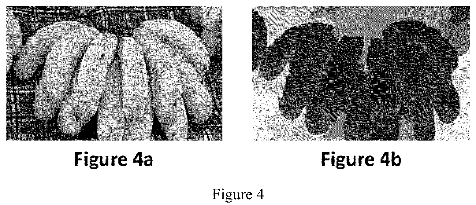 Patent US12333779 Figure 3 – Method of salient object detection in images
