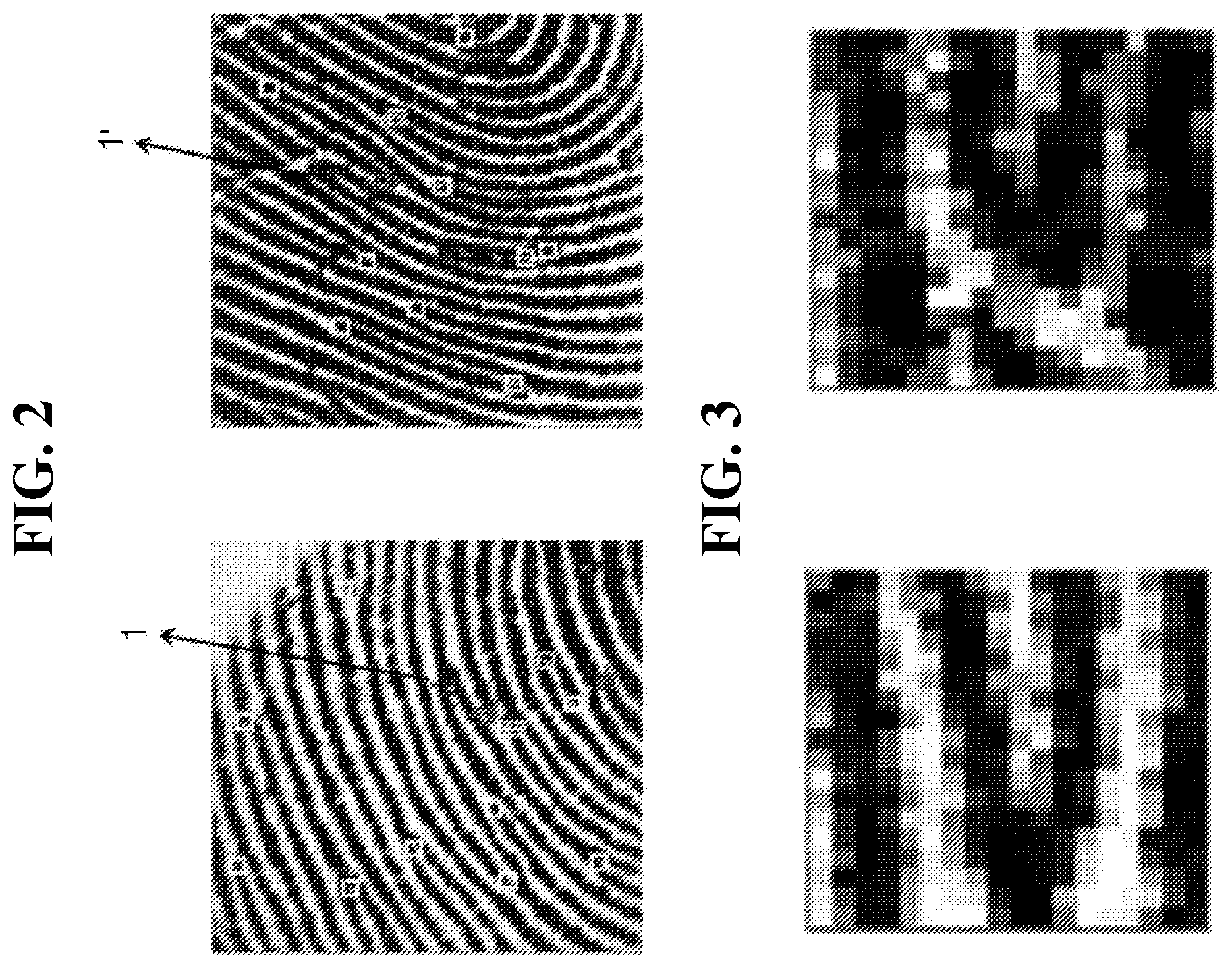 Patent US12333850 Figure 2 – Fingerprint identification method, device, electronic apparatus and storage medium