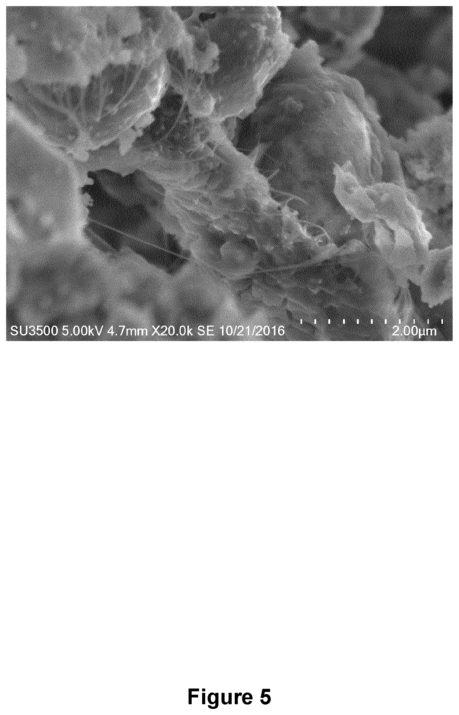 Patent US12338164 Figure 5 – Boron nitride nanotube-silicate glass composites