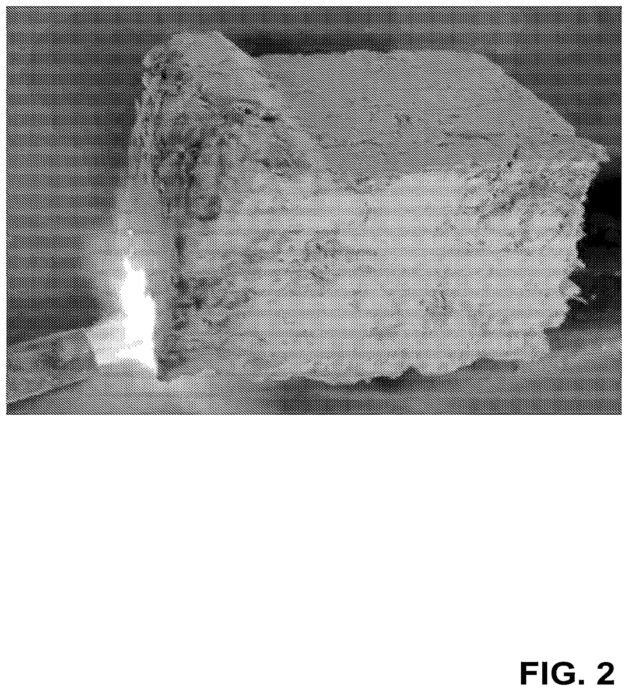 Patent US12338171 Figure 2 – Systems and methods for sprayable hemp-based compositions