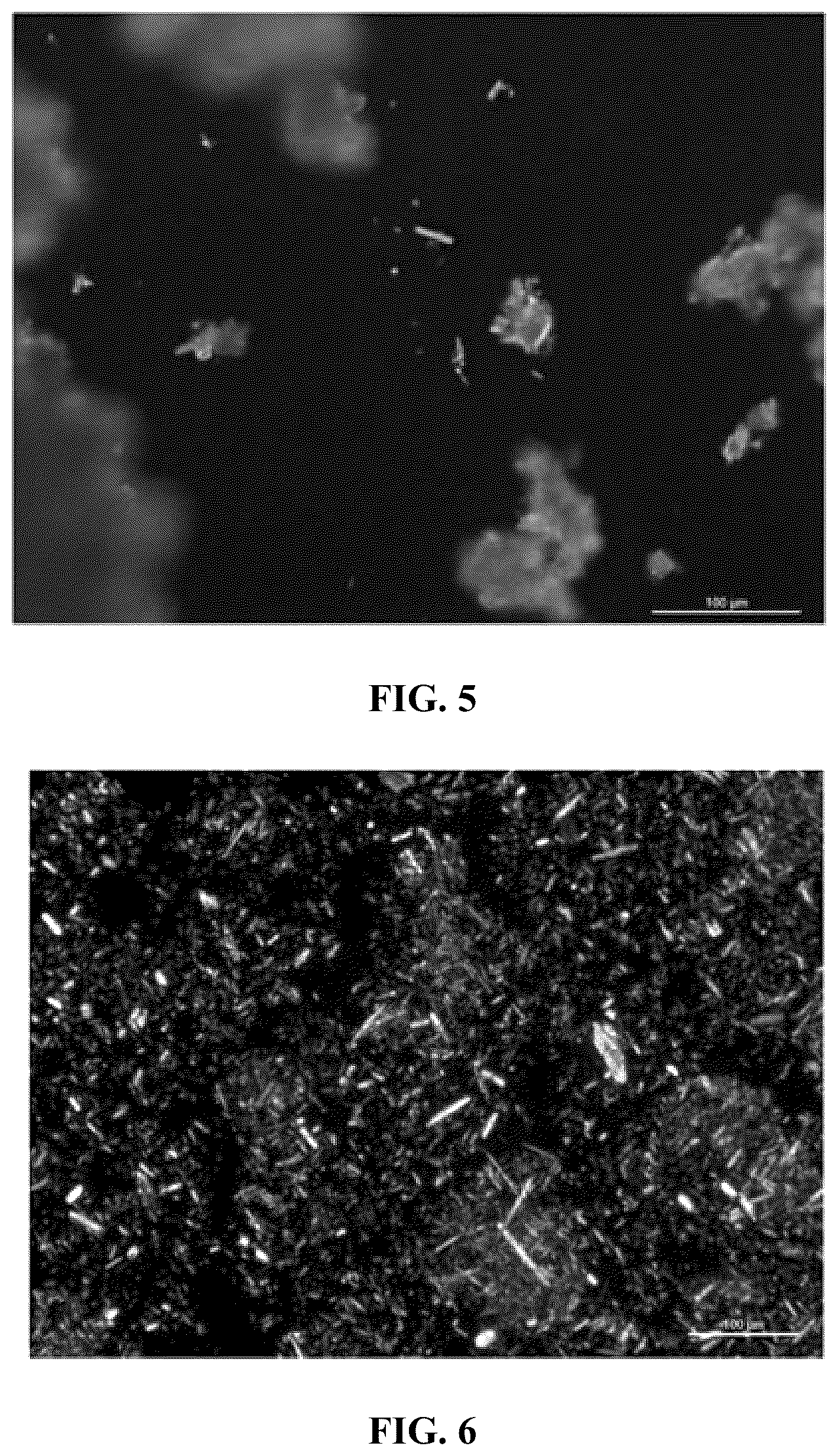 Patent US12338189 Figure 3 – Desensitized fertilizer compositions and methods of making same