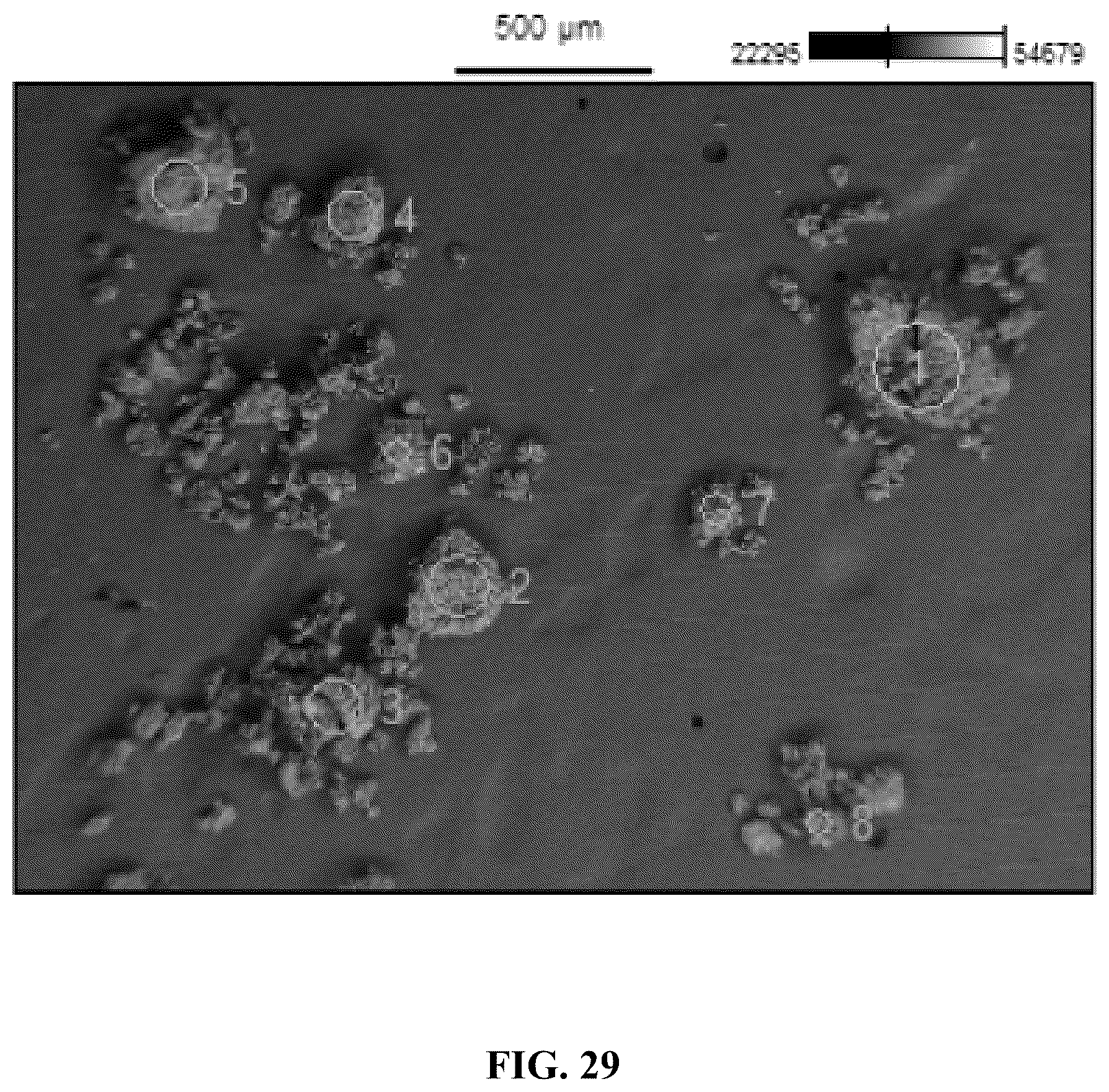 Patent US12338189 Figure 13 – Desensitized fertilizer compositions and methods of making same