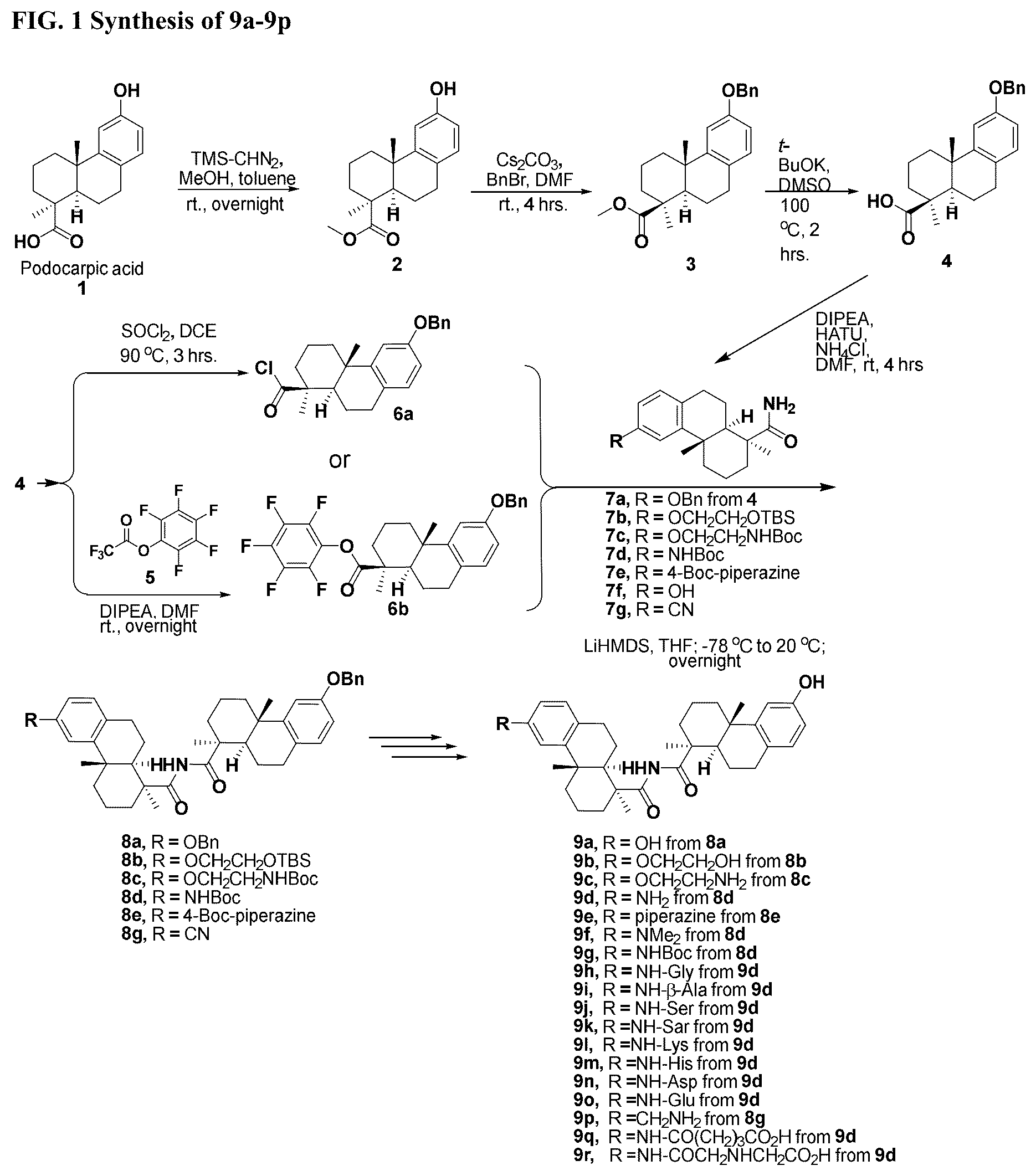 Patent US12338199 Figure 1 – Bis-octahydrophenanthrene carboxamides and protein conjugates thereof