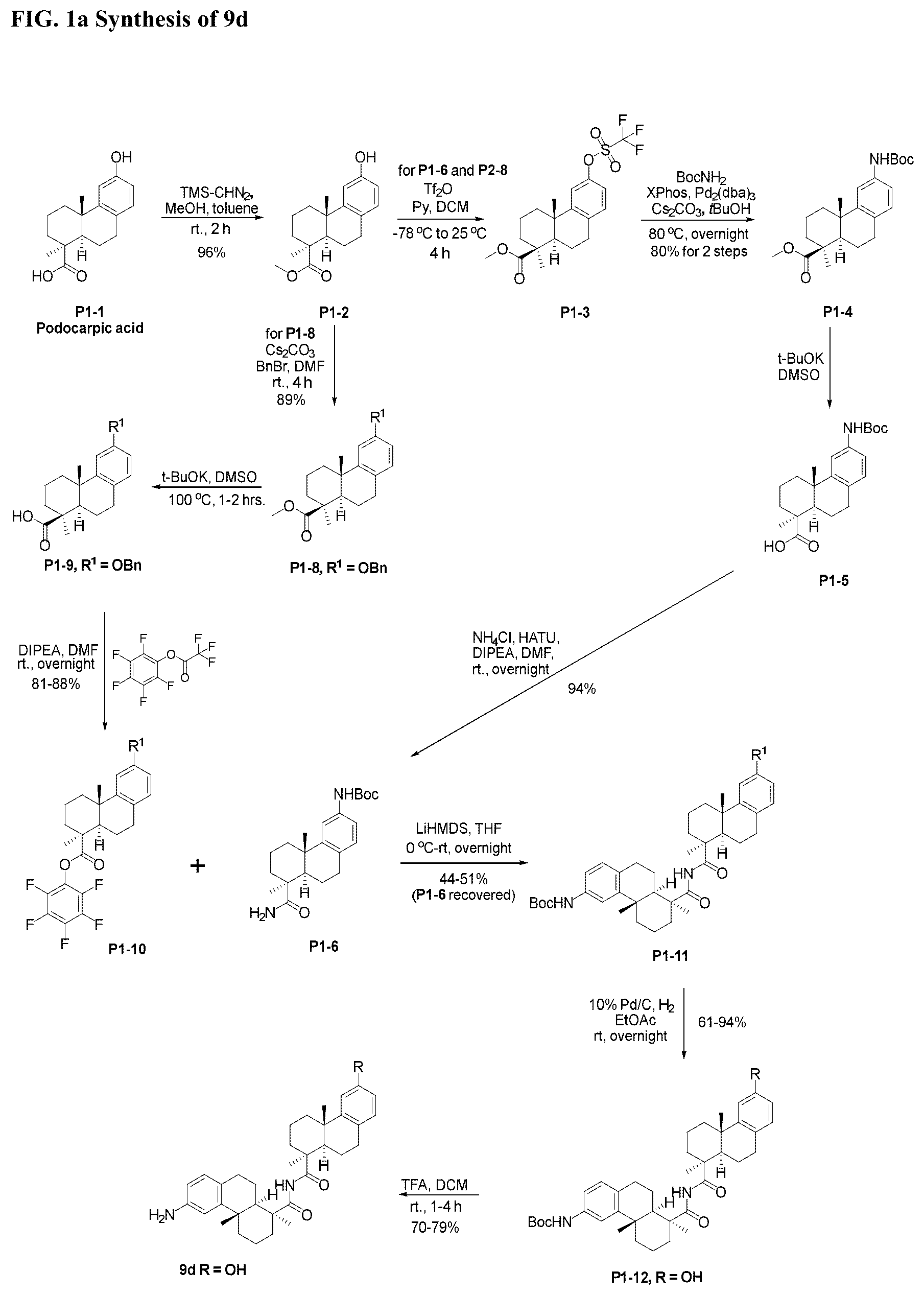 Patent US12338199 Figure 2 – Bis-octahydrophenanthrene carboxamides and protein conjugates thereof
