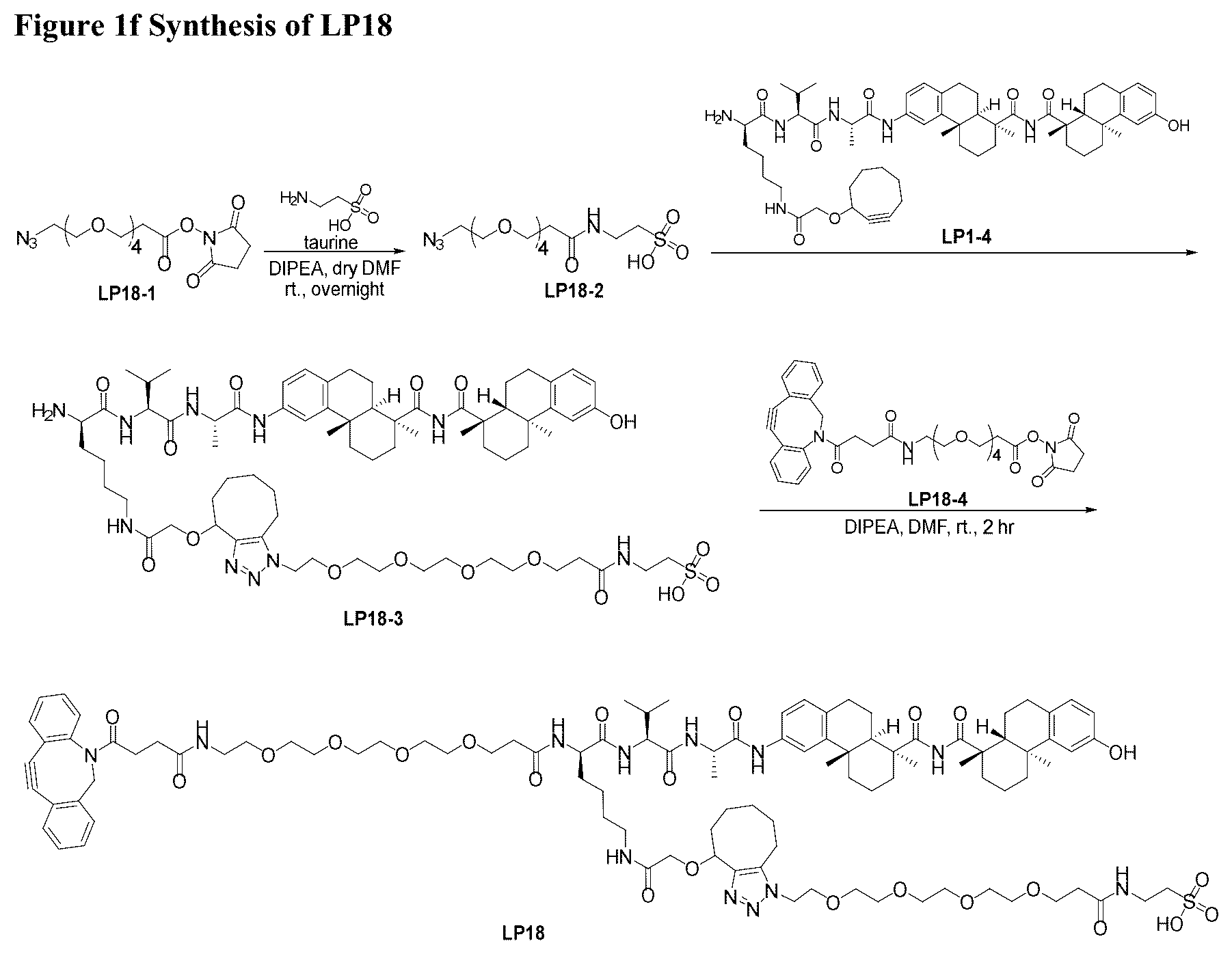 Patent US12338199 Figure 7 – Bis-octahydrophenanthrene carboxamides and protein conjugates thereof