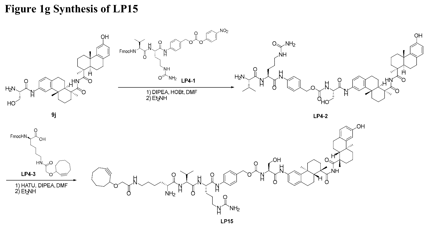 Patent US12338199 Figure 8 – Bis-octahydrophenanthrene carboxamides and protein conjugates thereof