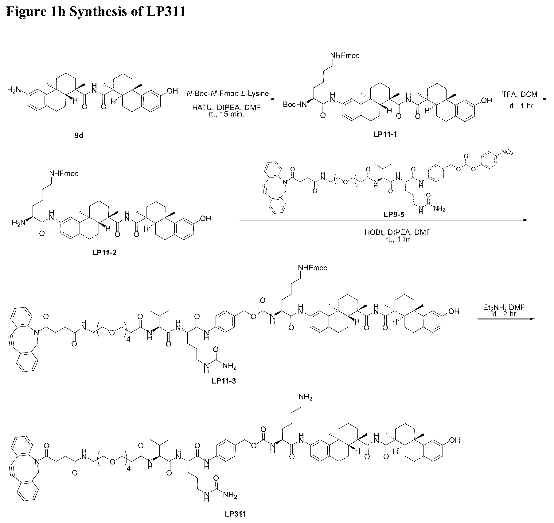 Patent US12338199 Figure 9 – Bis-octahydrophenanthrene carboxamides and protein conjugates thereof