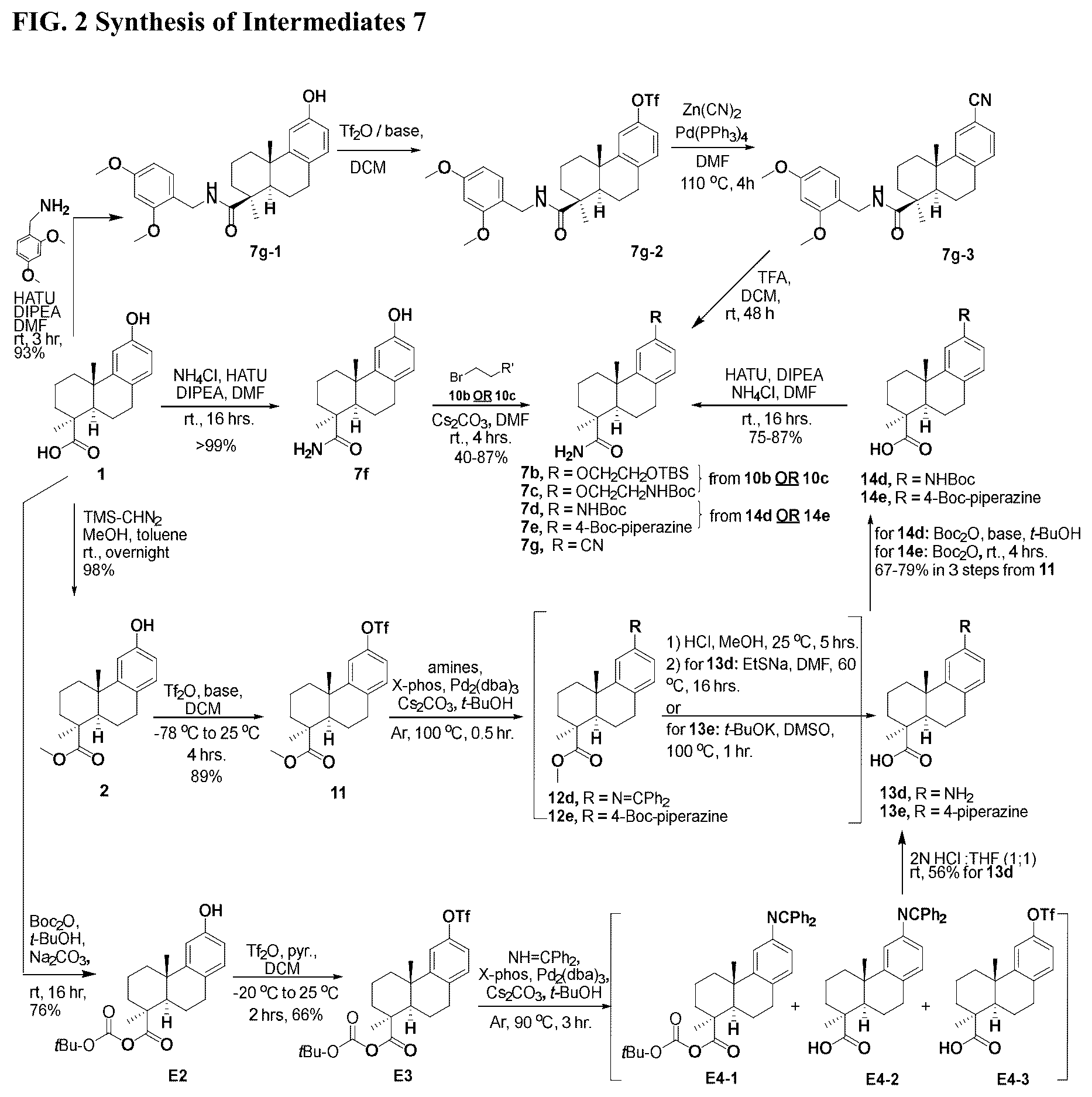 Patent US12338199 Figure 11 – Bis-octahydrophenanthrene carboxamides and protein conjugates thereof