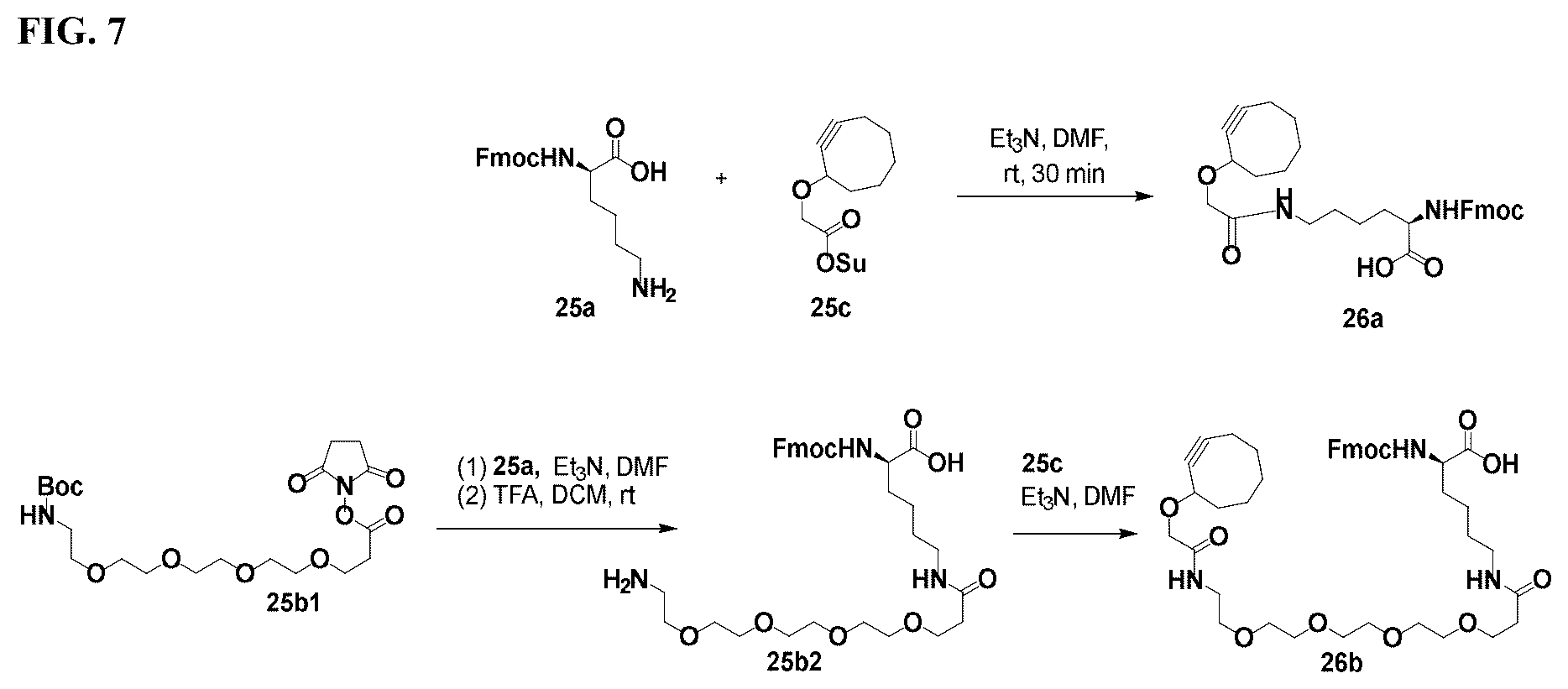 Patent US12338199 Figure 15 – Bis-octahydrophenanthrene carboxamides and protein conjugates thereof