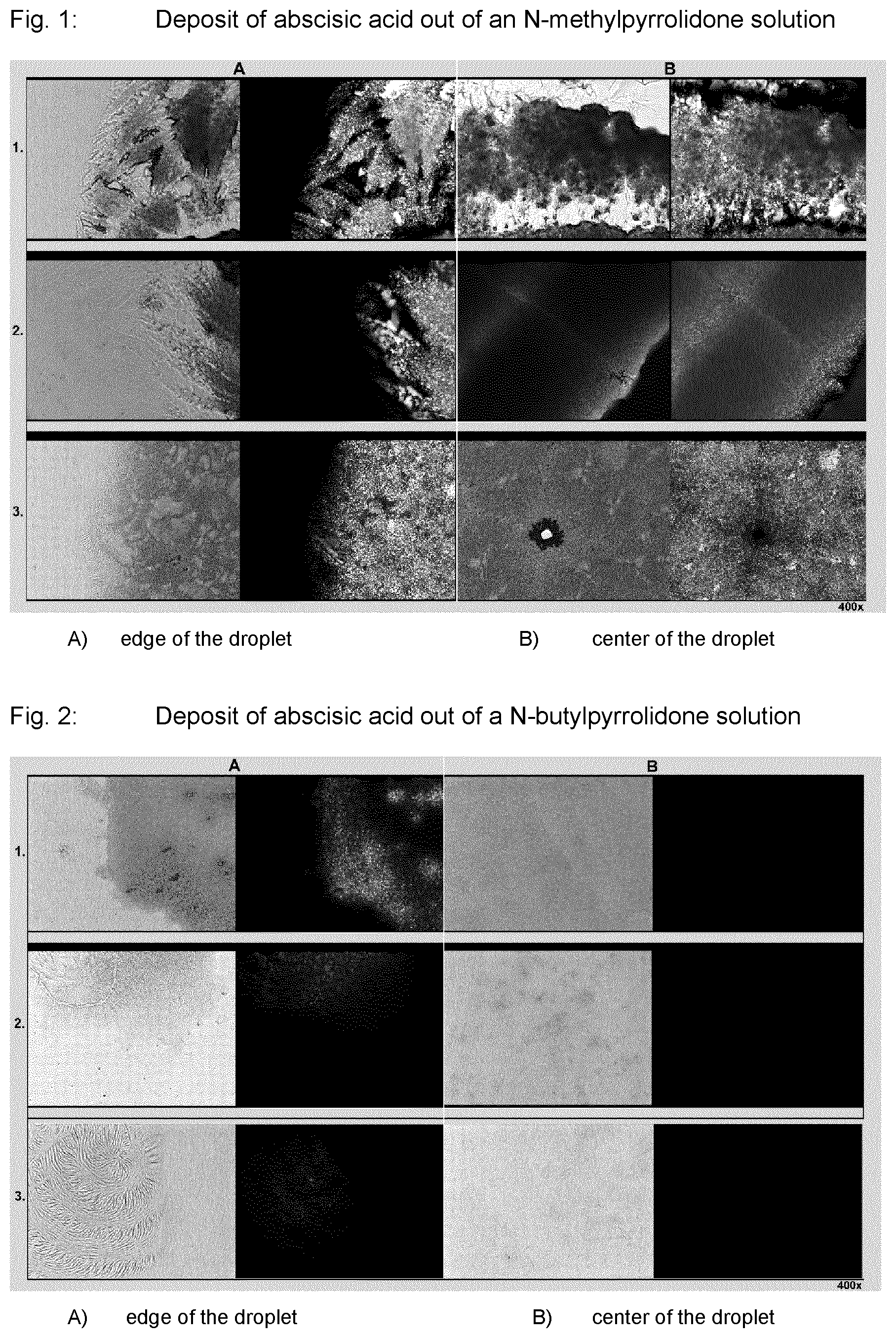 Patent US12338216 Figure 1 – Solvates of abscisic acid and liquid compositions containing abscisic acid