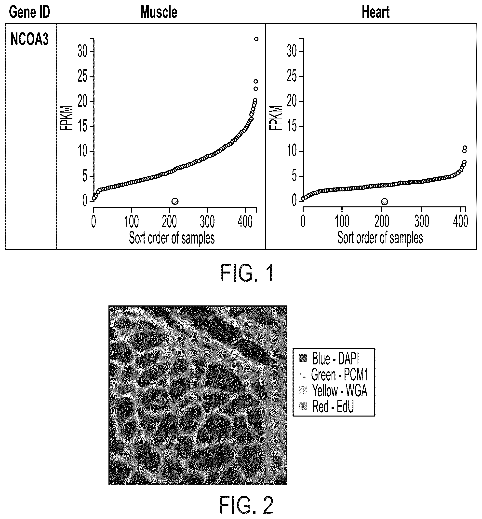 Patent US12338229 Figure 1 – Small molecule stimulators of steroid receptor coactivator-3 and methods of their use as cardioprotective and/or vascular regenerative agents