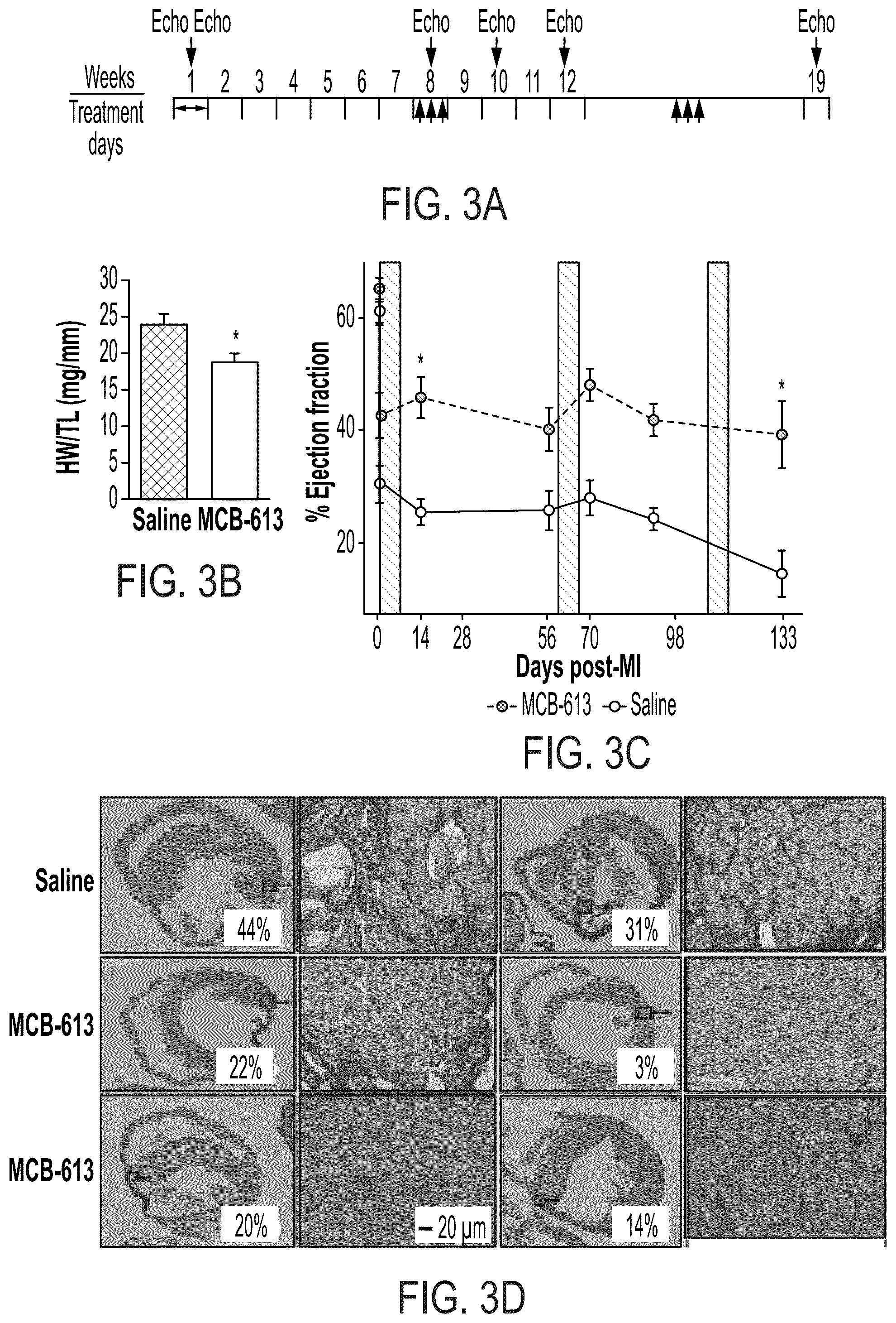 Patent US12338229 Figure 2 – Small molecule stimulators of steroid receptor coactivator-3 and methods of their use as cardioprotective and/or vascular regenerative agents