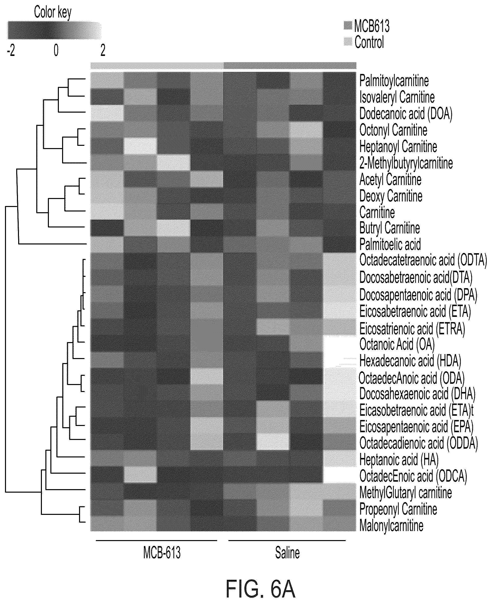 Patent US12338229 Figure 6 – Small molecule stimulators of steroid receptor coactivator-3 and methods of their use as cardioprotective and/or vascular regenerative agents