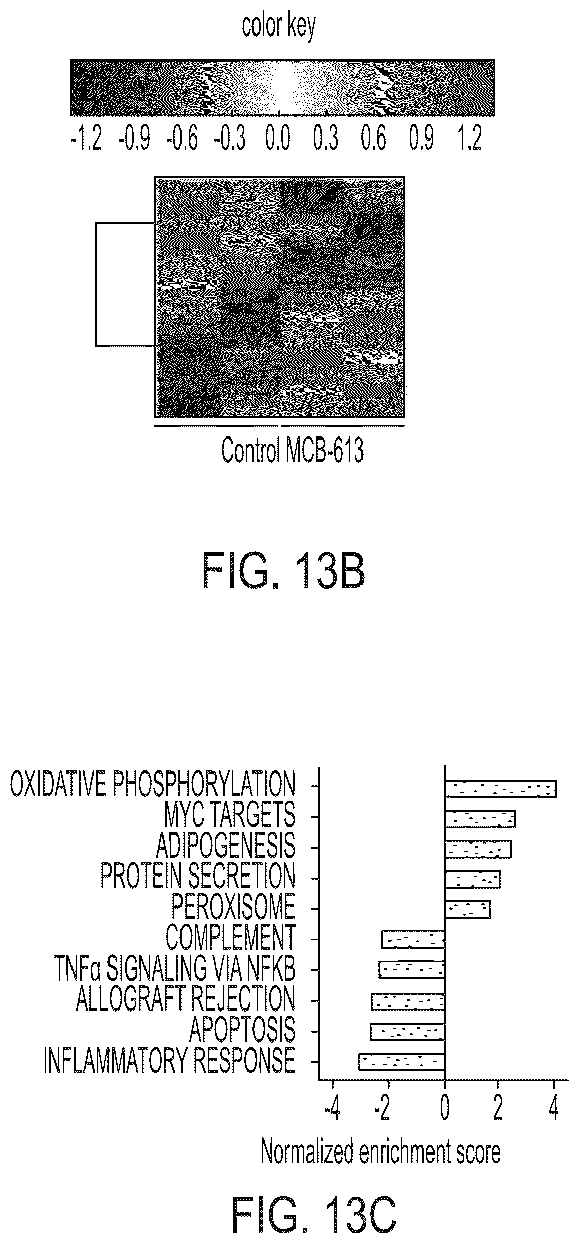 Patent US12338229 Figure 17 – Small molecule stimulators of steroid receptor coactivator-3 and methods of their use as cardioprotective and/or vascular regenerative agents