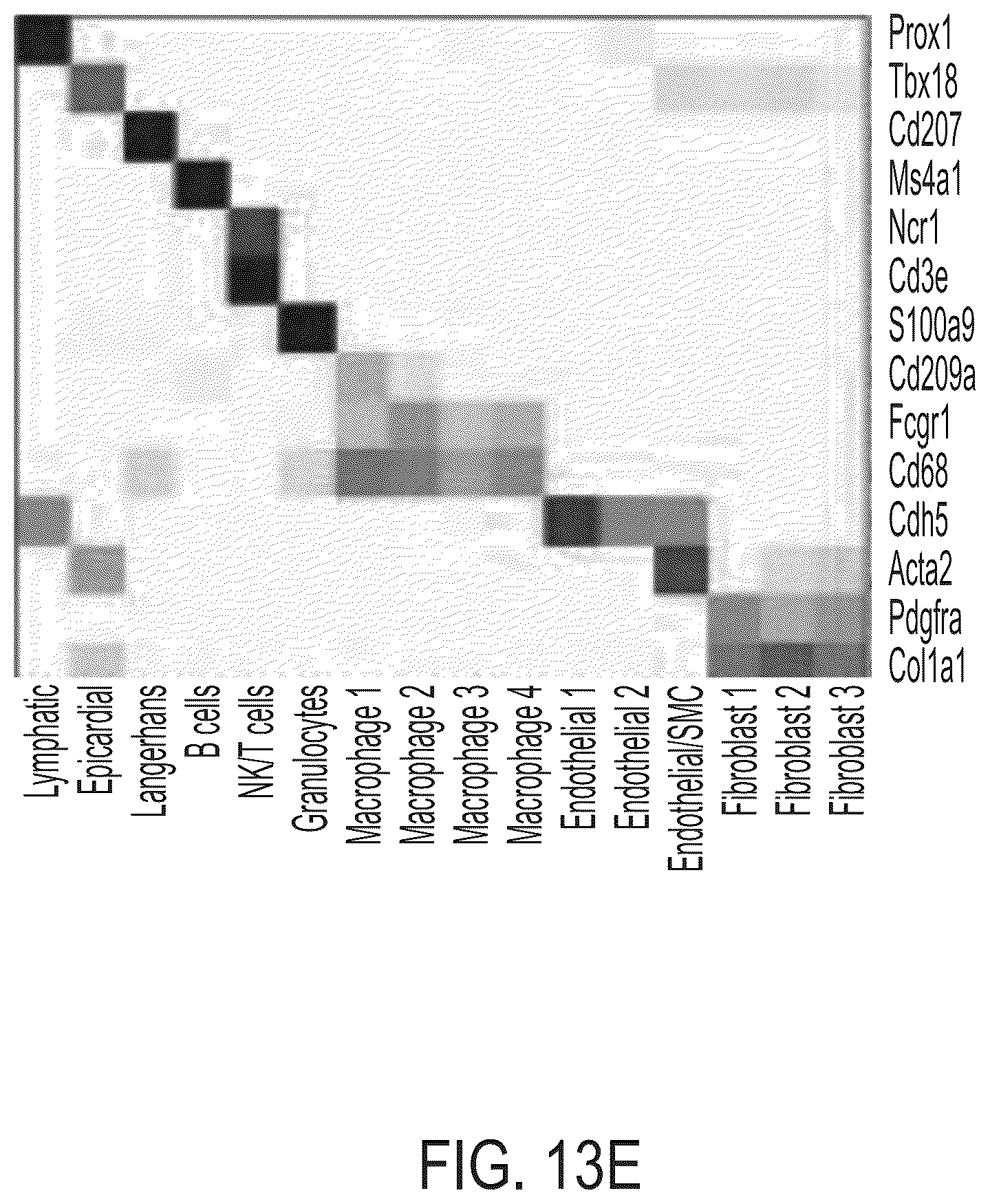 Patent US12338229 Figure 19 – Small molecule stimulators of steroid receptor coactivator-3 and methods of their use as cardioprotective and/or vascular regenerative agents