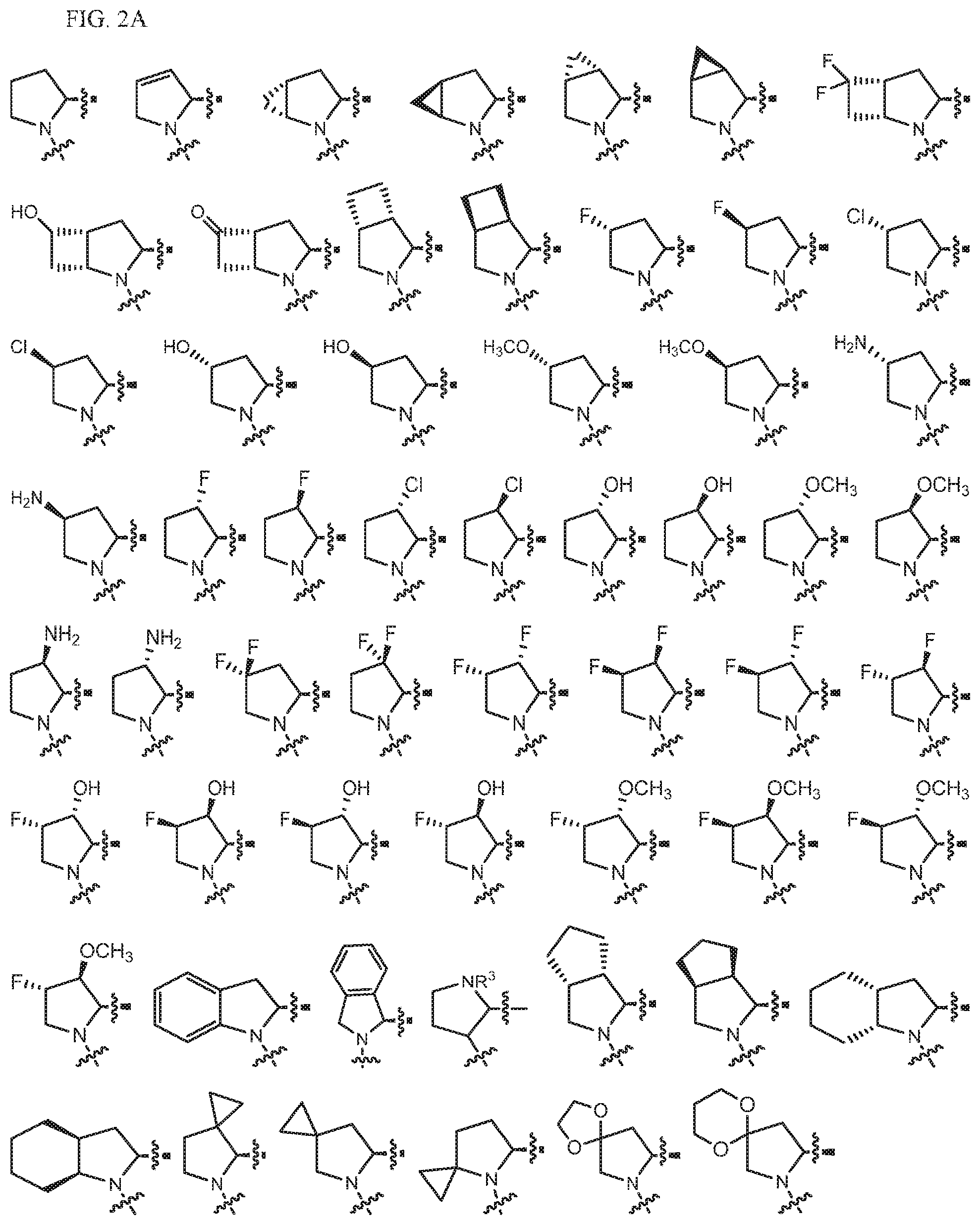 Patent US12338230 Figure 2 – Aryl, heteroaryl, and heterocyclic compounds for treatment of immune and inflammatory disorders