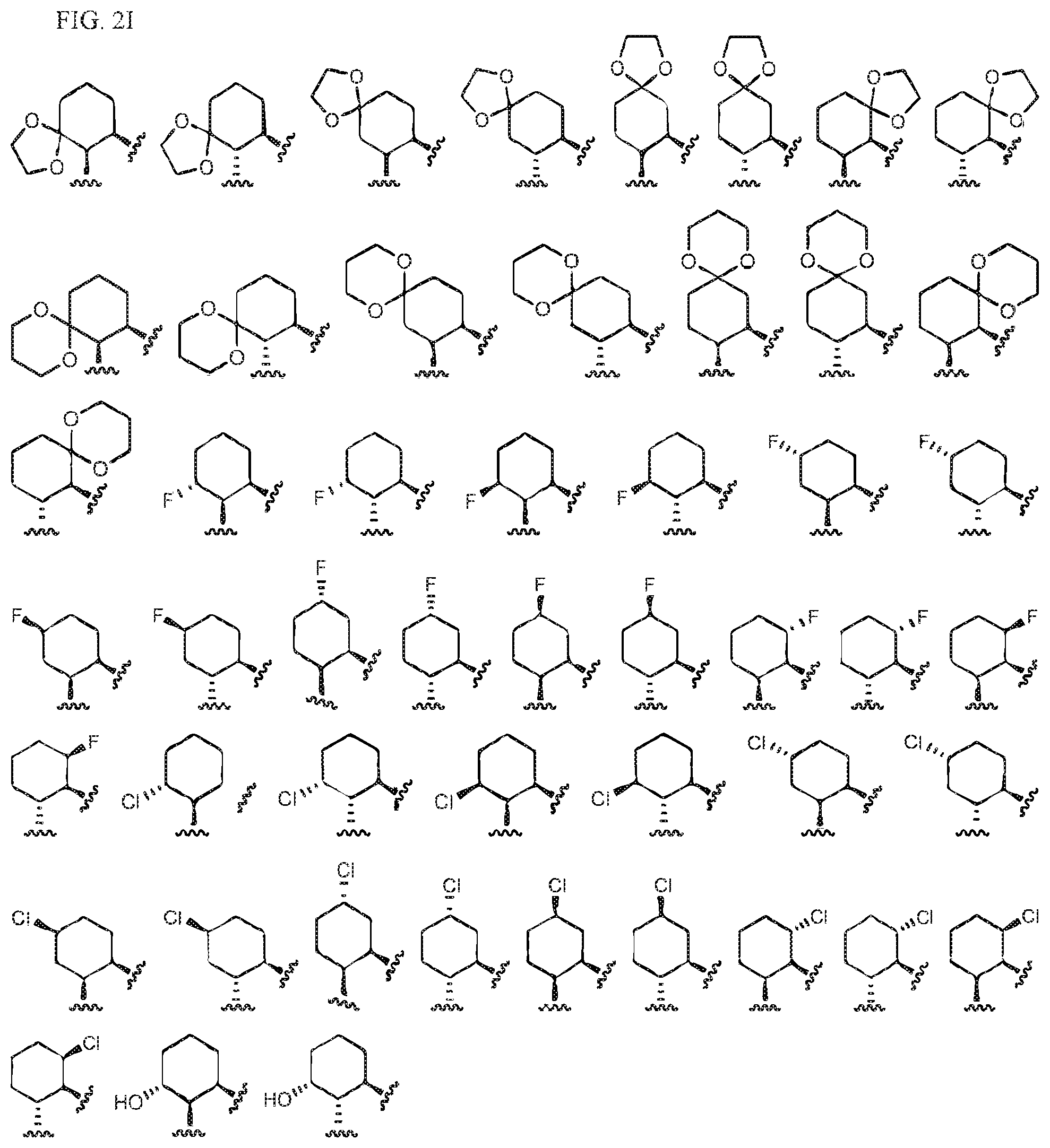 Patent US12338230 Figure 10 – Aryl, heteroaryl, and heterocyclic compounds for treatment of immune and inflammatory disorders