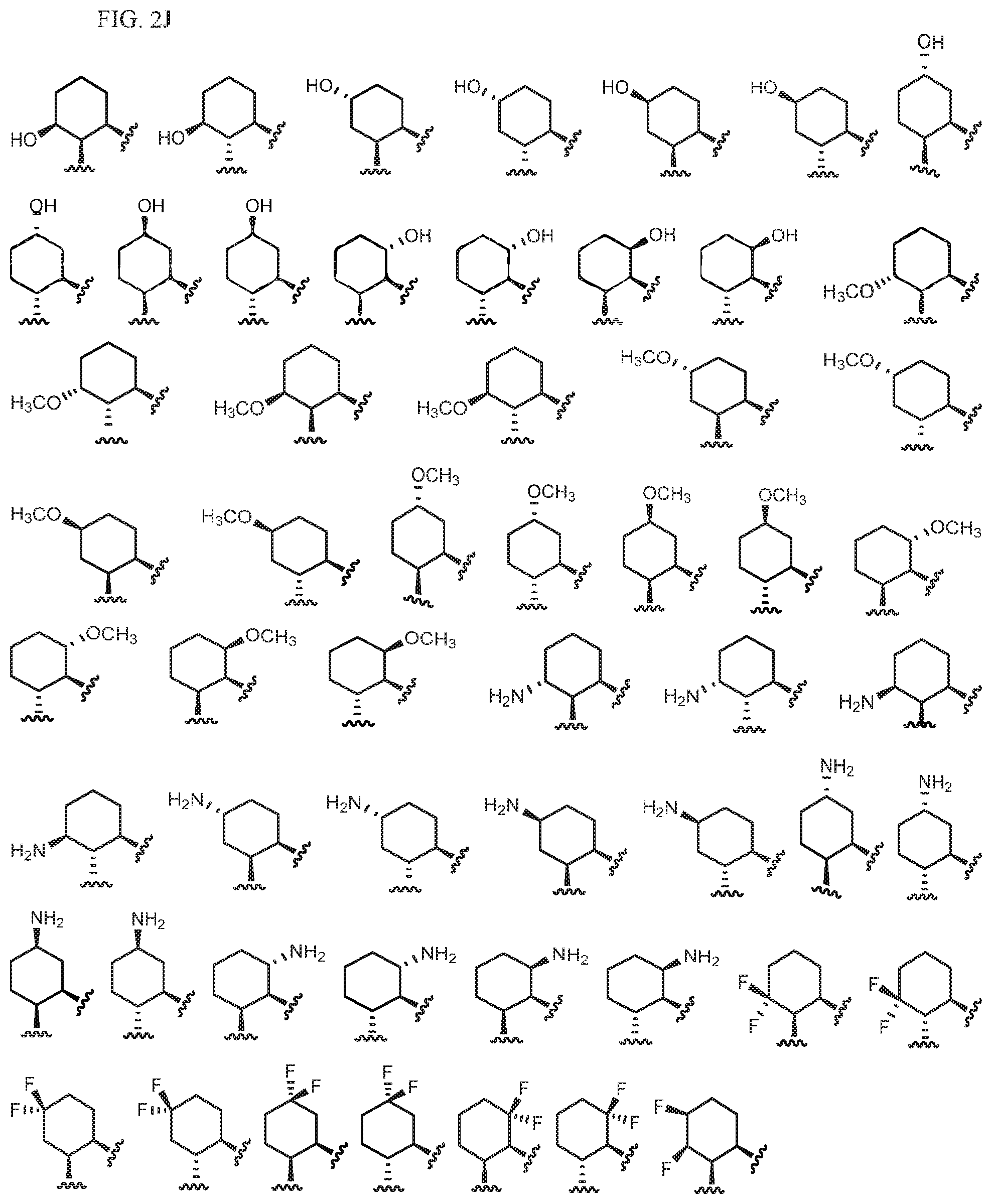 Patent US12338230 Figure 11 – Aryl, heteroaryl, and heterocyclic compounds for treatment of immune and inflammatory disorders