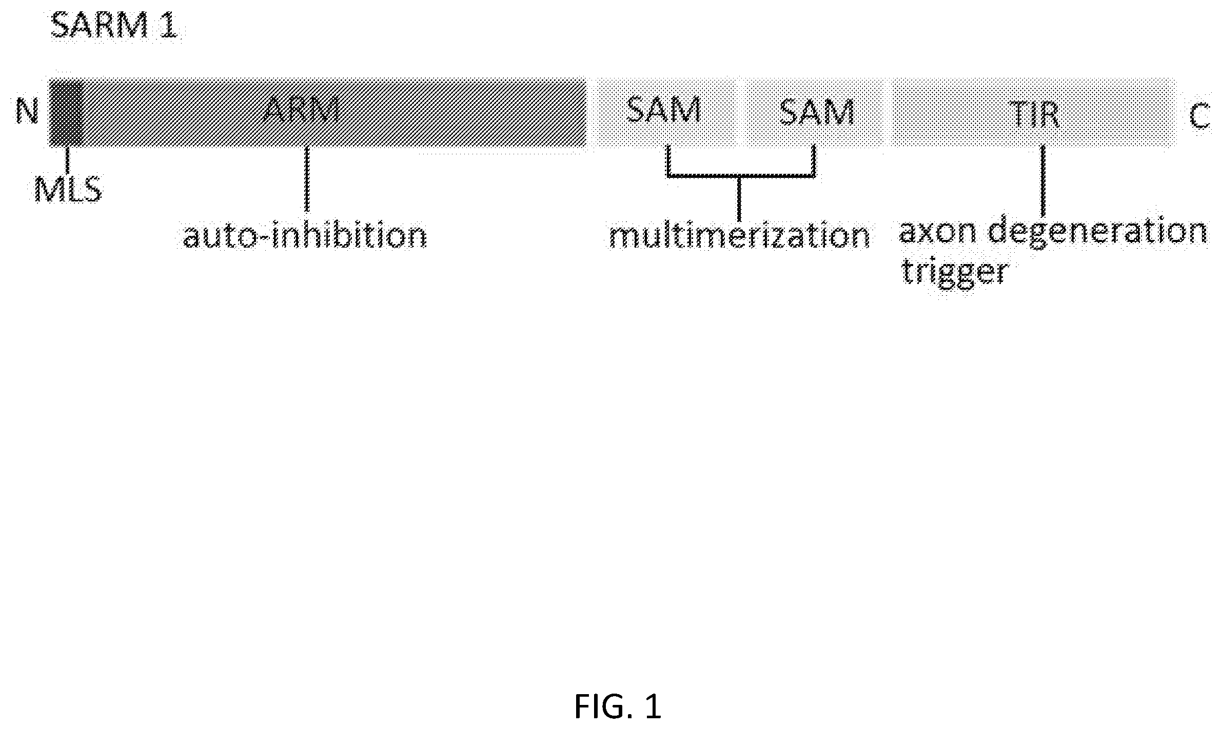 Patent US12338238 Figure 1 – Inhibitors of SARM1