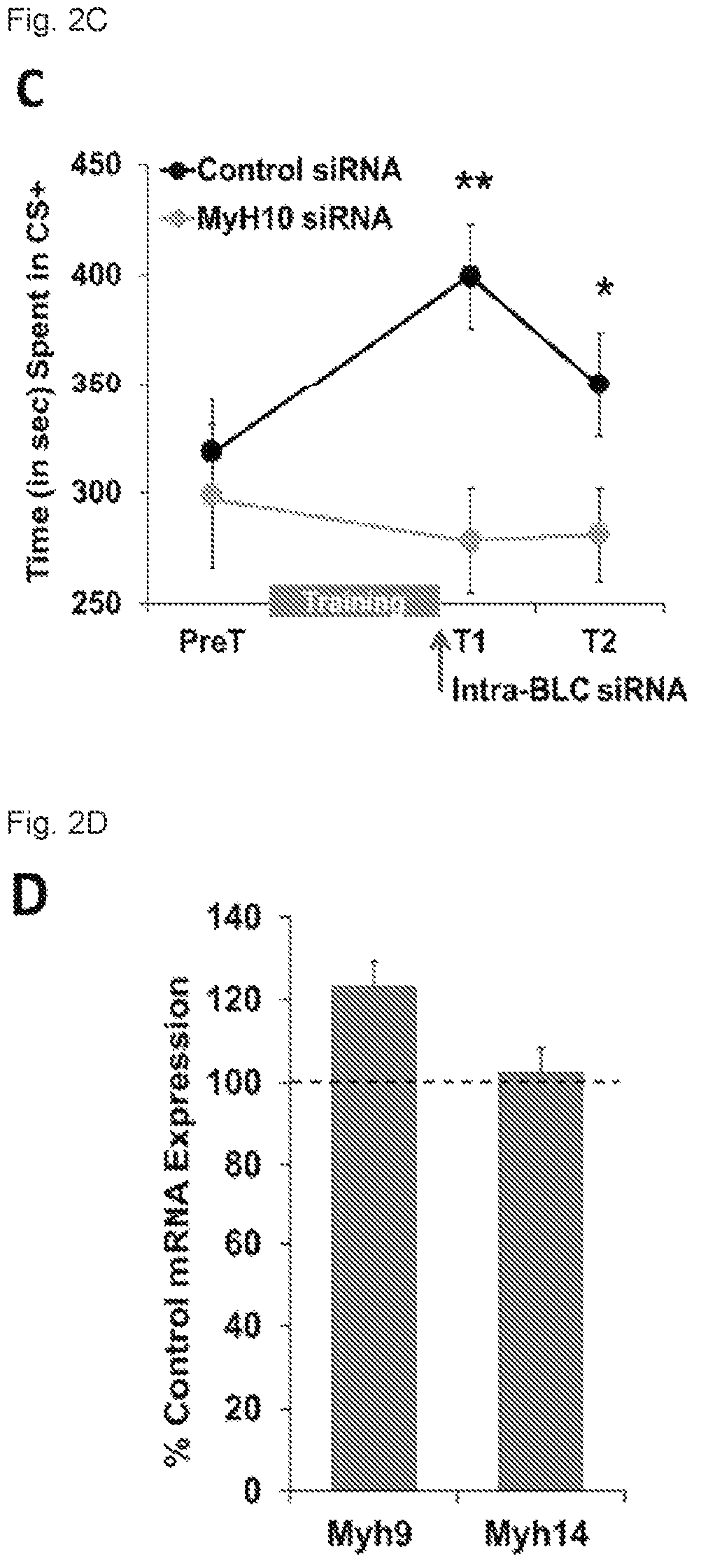 Patent US12338240 Figure 3 – Nonmuscle myosin ii inhibitors