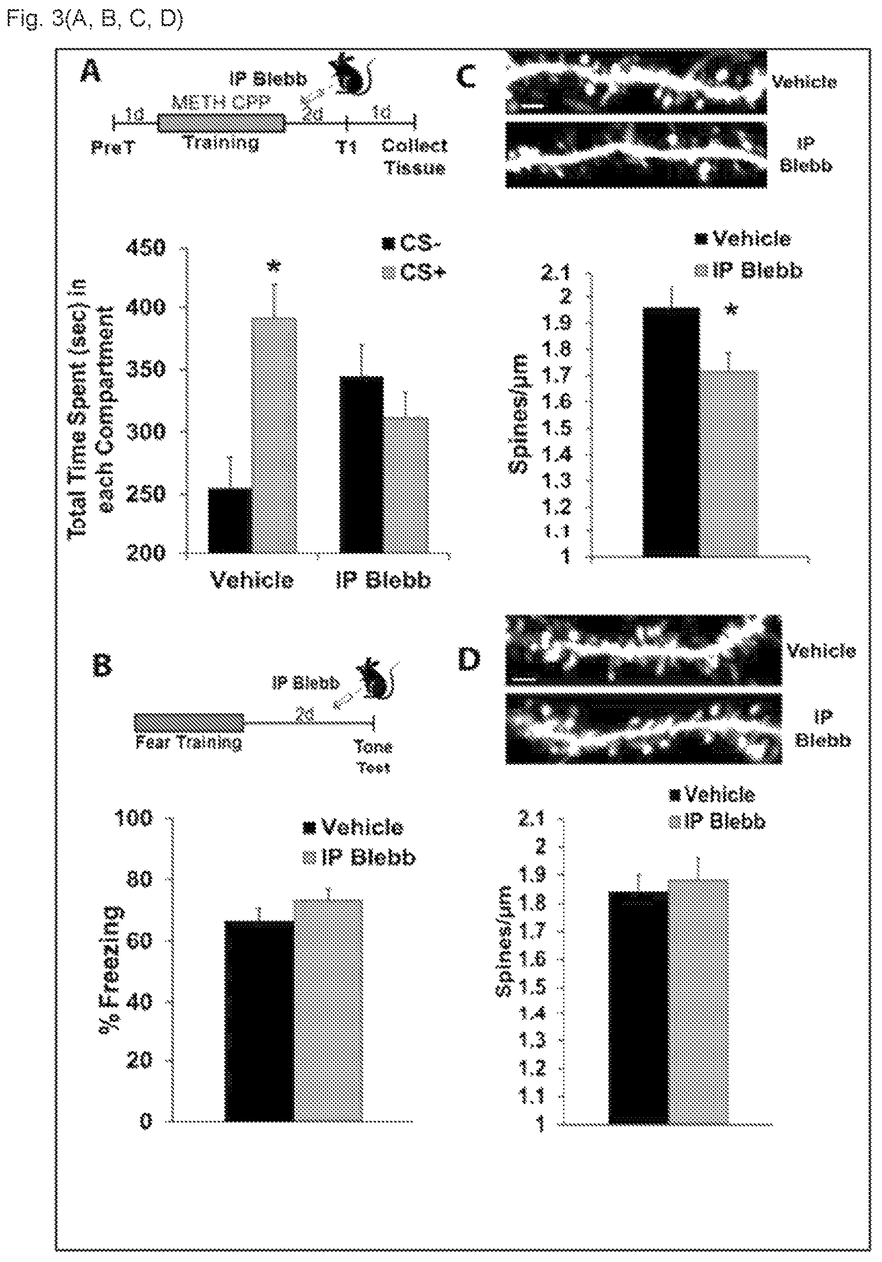 Patent US12338240 Figure 4 – Nonmuscle myosin ii inhibitors