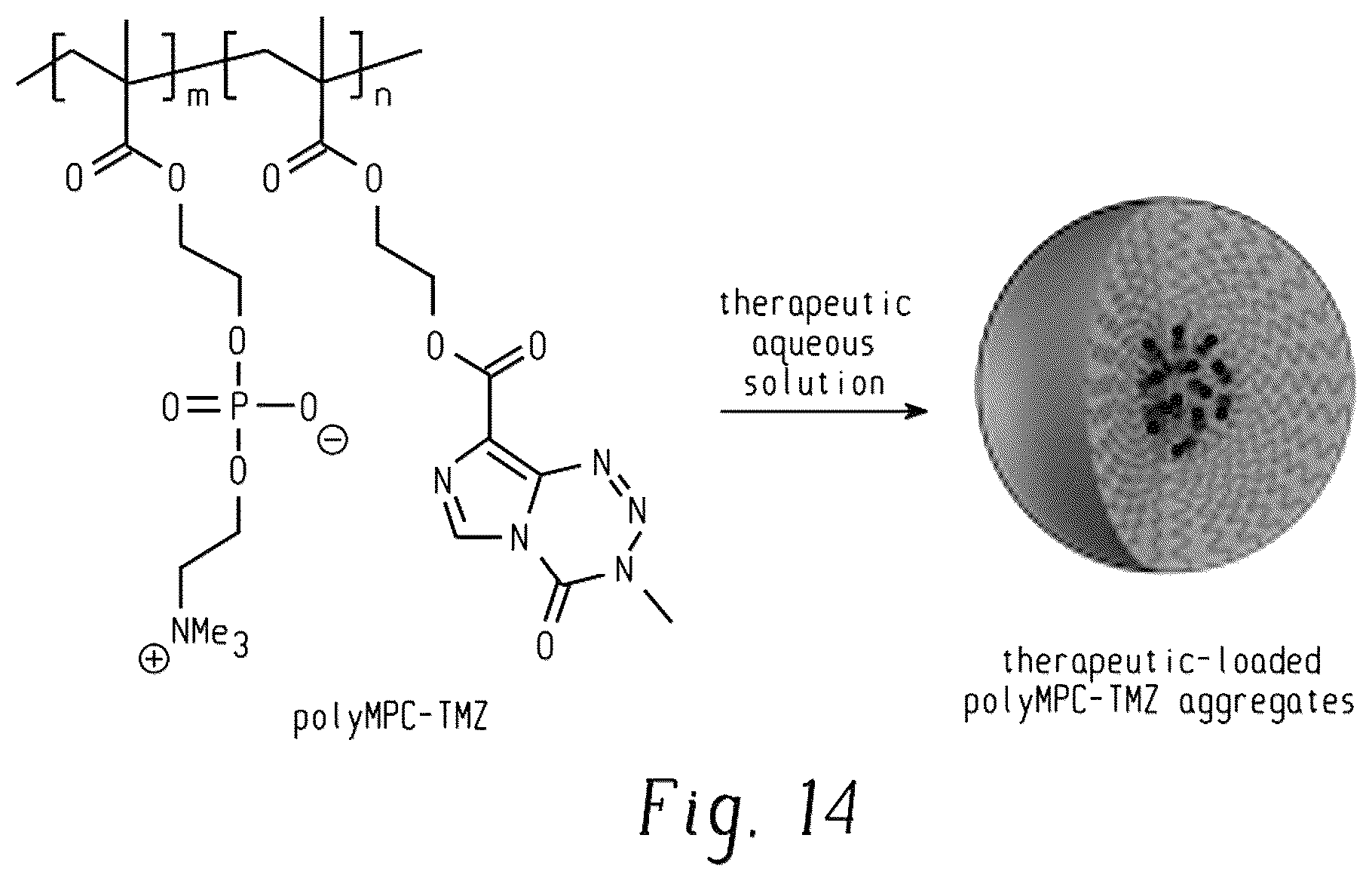 Patent US12338244 Figure 11 – Temozolomide compounds, polymers prepared therefrom, and method of treating a disease