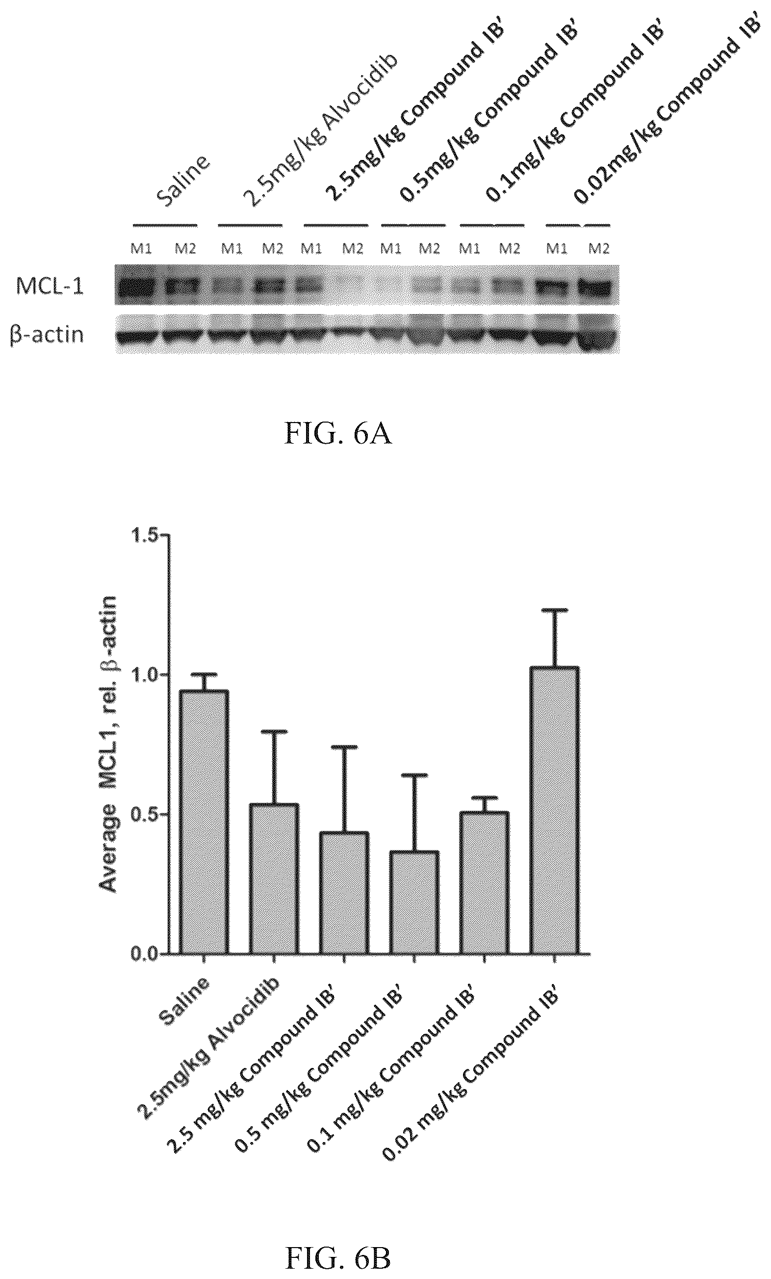 Patent US12338261 Figure 13 – Alvocidib prodrugs having increased bioavailability