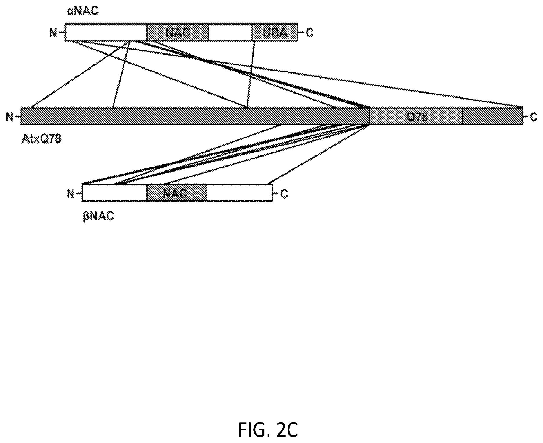 Patent US12338268 Figure 9 – Compositions and methods for treating protein aggregation-associated diseases