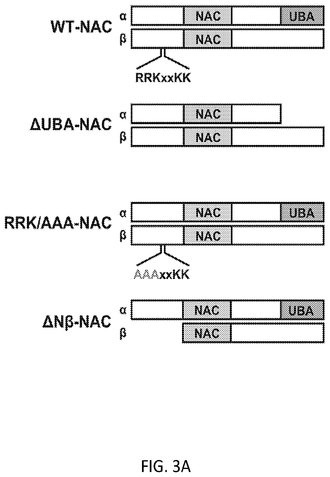 Patent US12338268 Figure 10 – Compositions and methods for treating protein aggregation-associated diseases