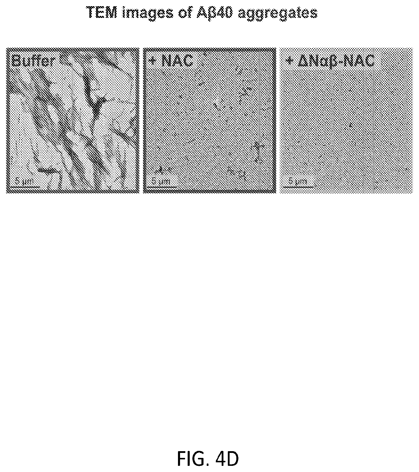 Patent US12338268 Figure 18 – Compositions and methods for treating protein aggregation-associated diseases