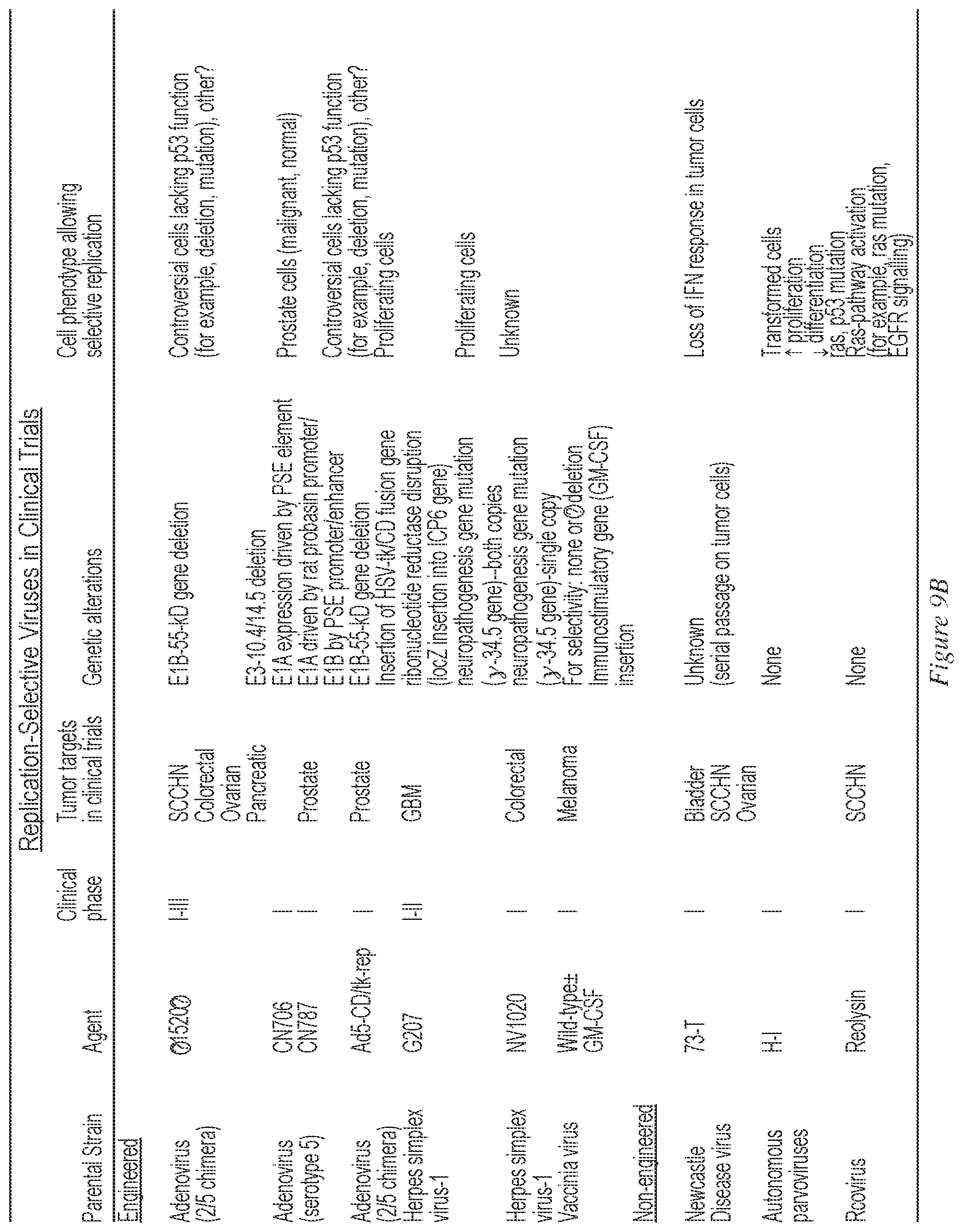 Patent US12338269 Figure 18 – IL-2 superagonists in combination with anti-PD-1 antibodies