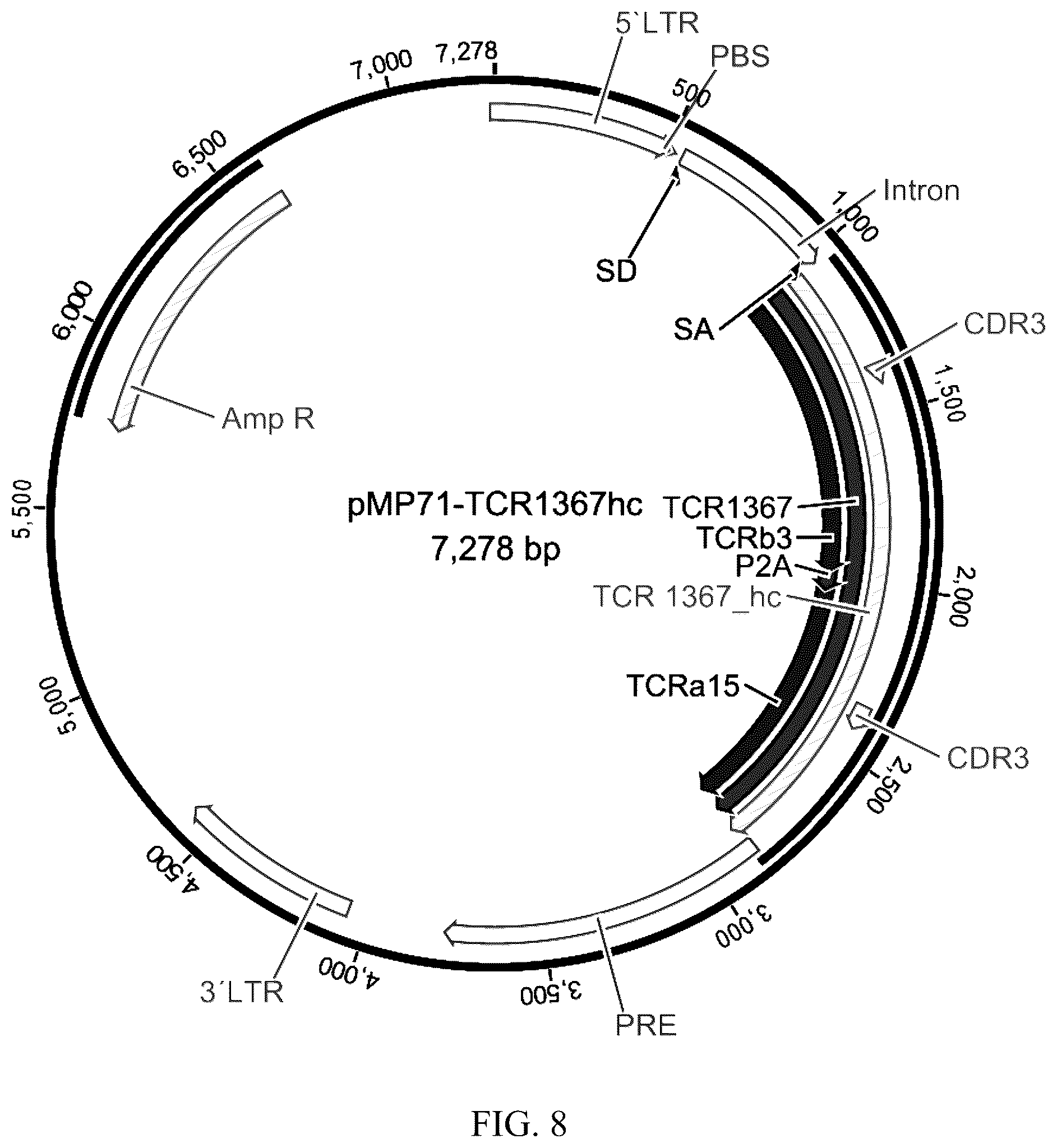 Patent US12338272 Figure 6 – High avidity antigen recognizing constructs