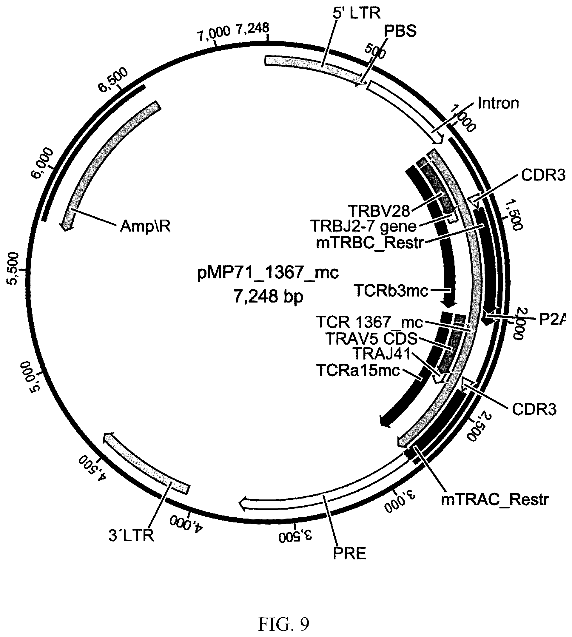 Patent US12338272 Figure 7 – High avidity antigen recognizing constructs
