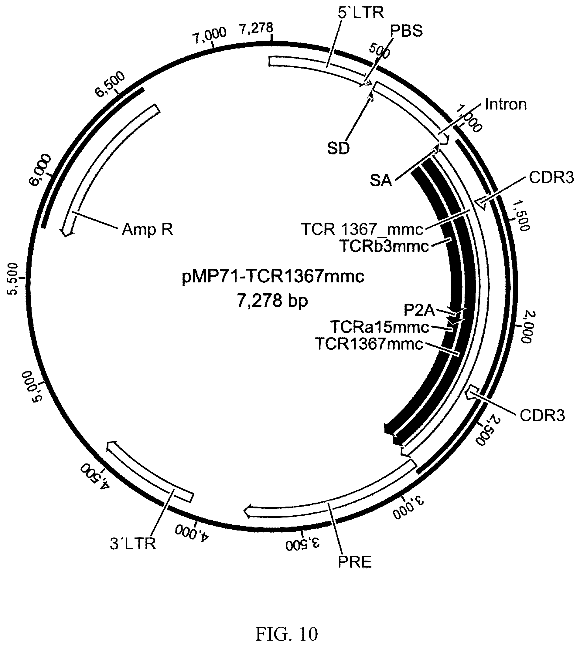 Patent US12338272 Figure 8 – High avidity antigen recognizing constructs