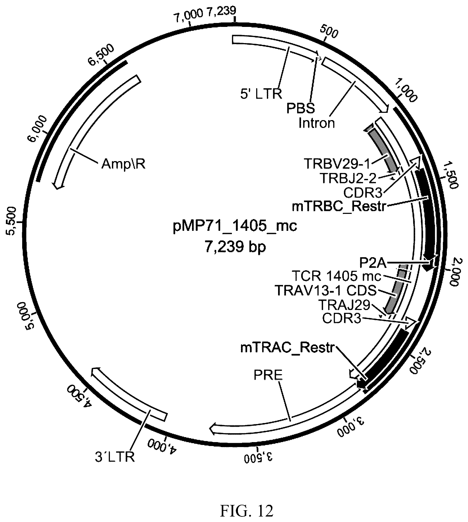 Patent US12338272 Figure 10 – High avidity antigen recognizing constructs