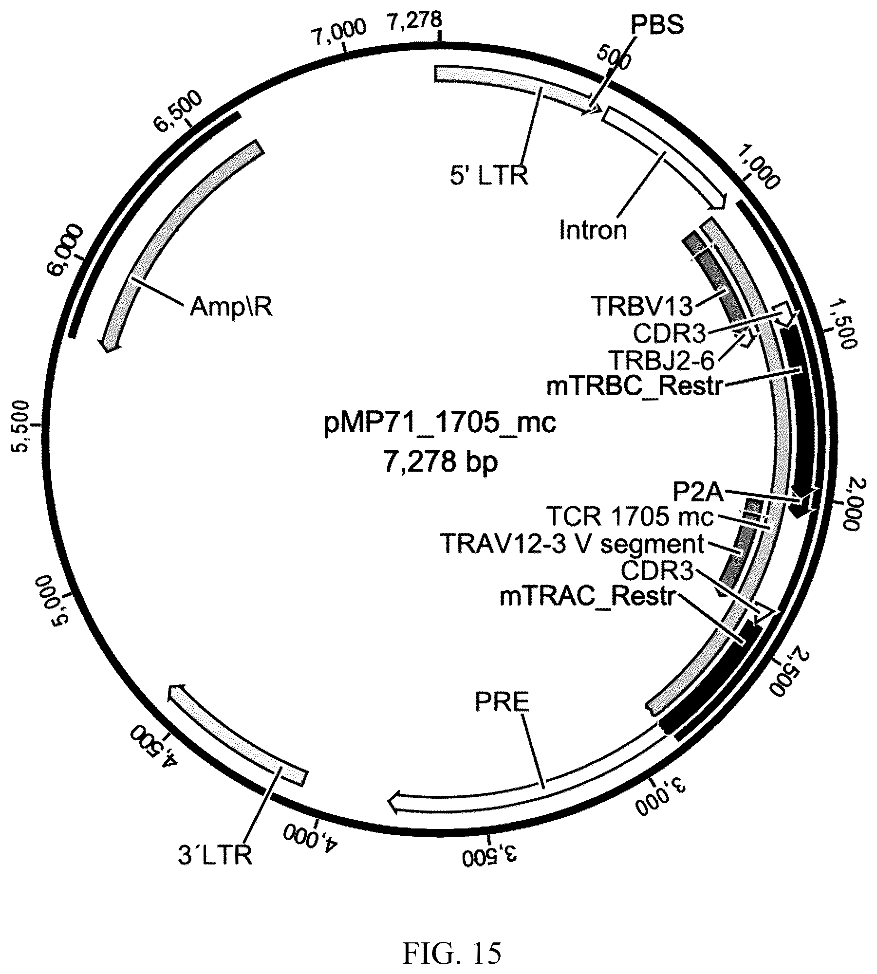 Patent US12338272 Figure 13 – High avidity antigen recognizing constructs