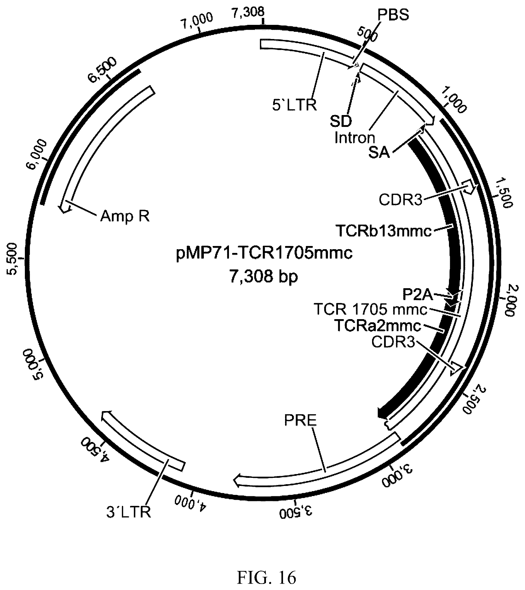 Patent US12338272 Figure 14 – High avidity antigen recognizing constructs