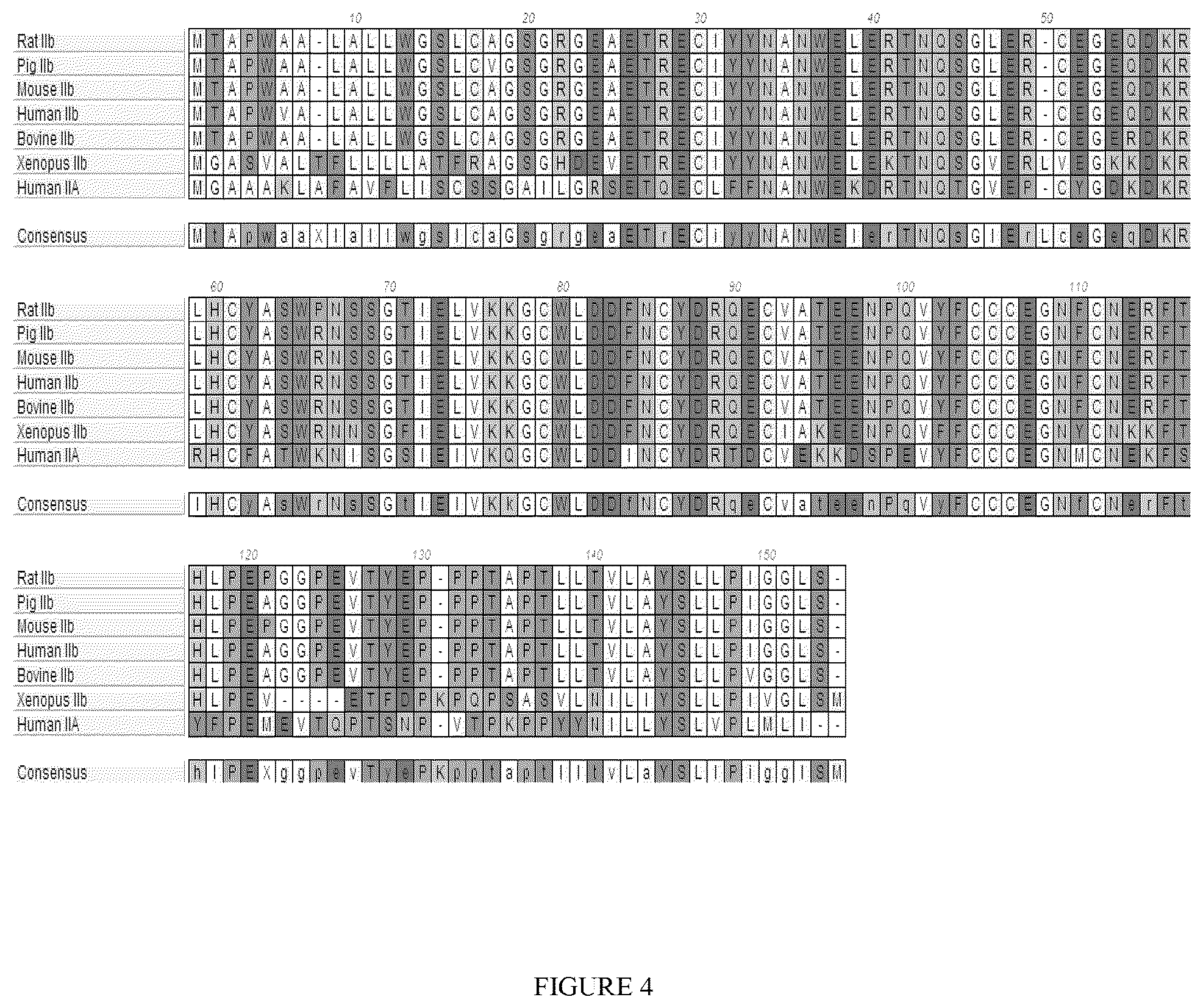Patent US12338273 Figure 4 – Single-arm type I and type II receptor fusion proteins and uses thereof