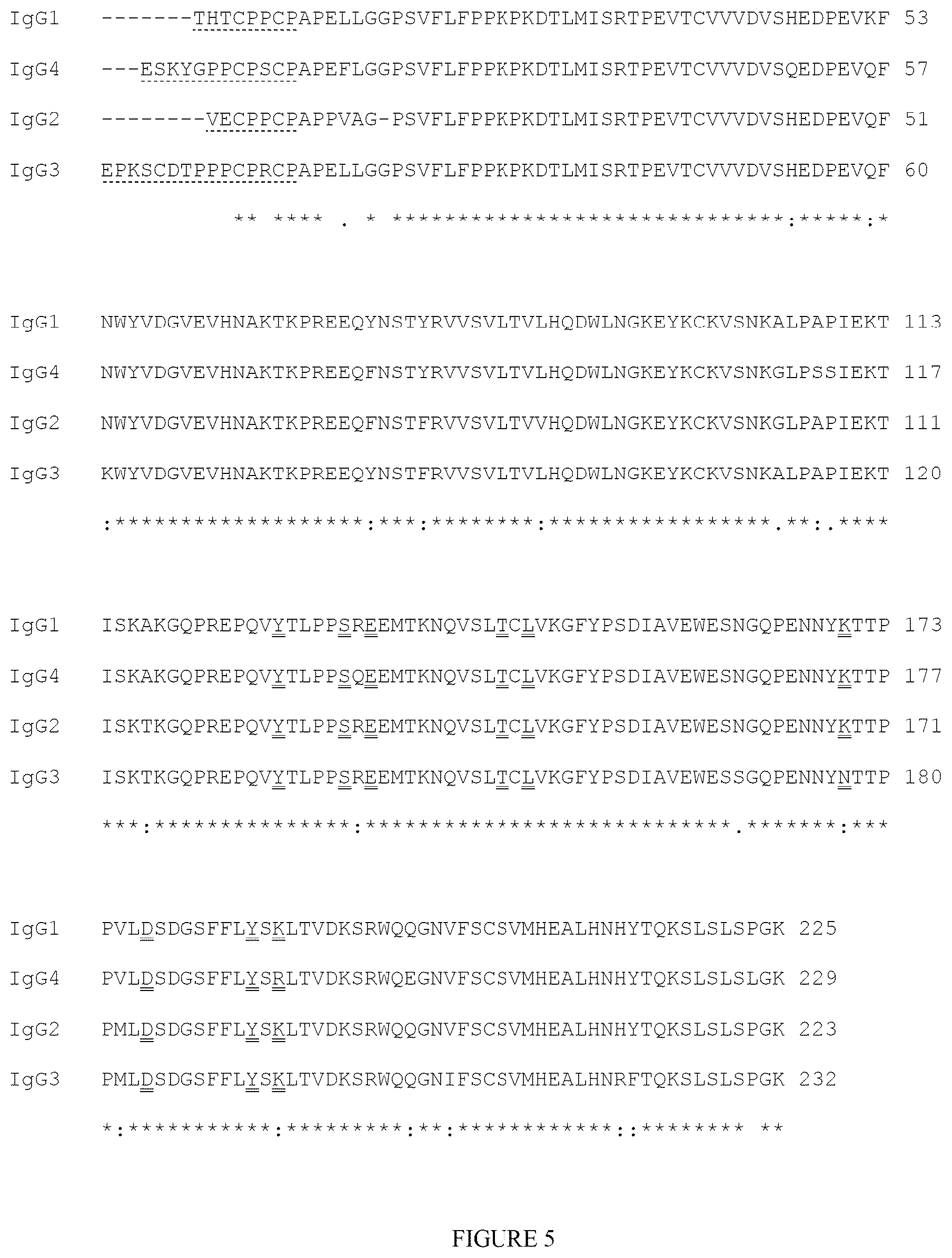Patent US12338273 Figure 5 – Single-arm type I and type II receptor fusion proteins and uses thereof