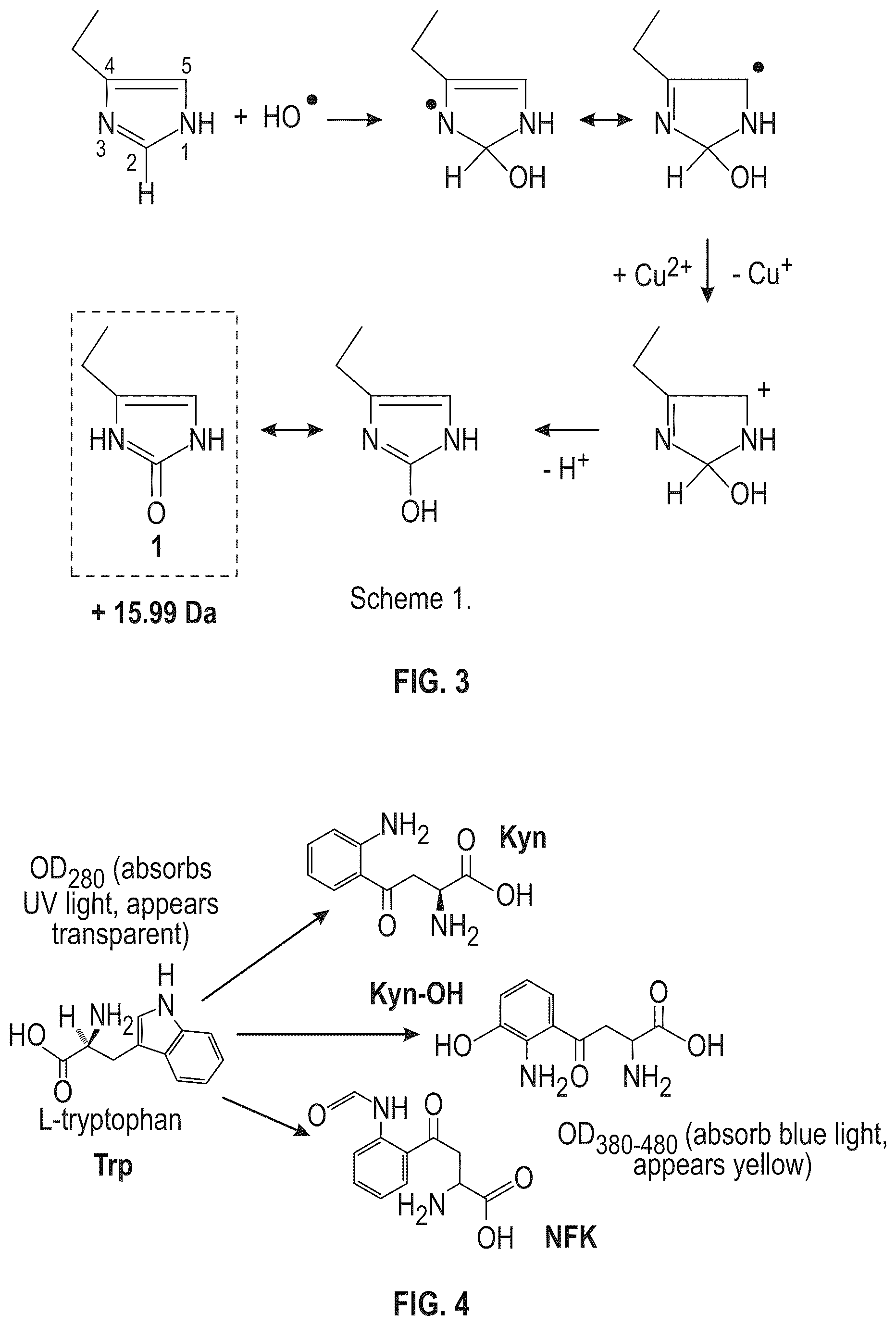 Patent US12338274 Figure 3 – Anti-VEGF protein compositions and methods for producing the same
