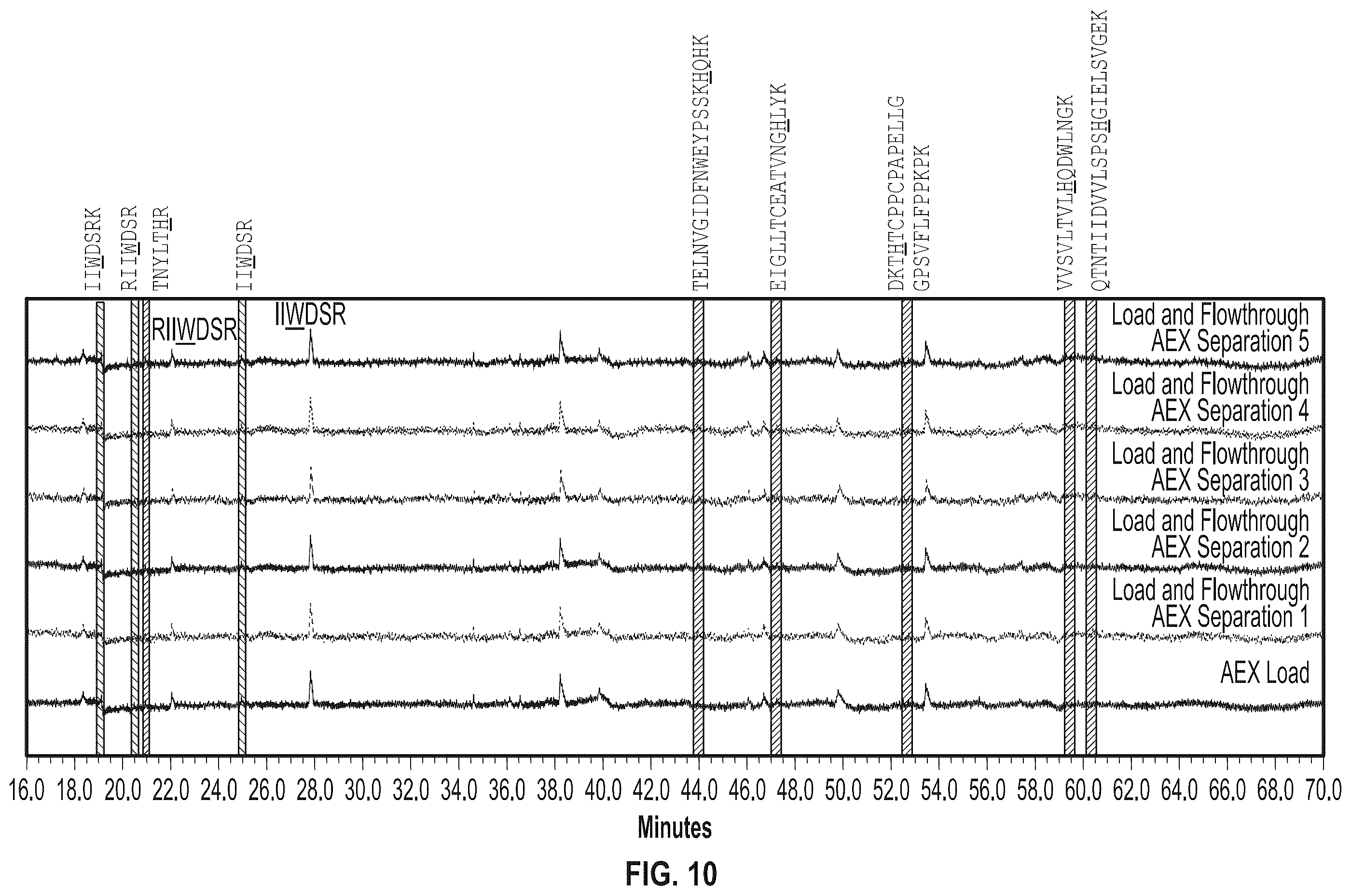 Patent US12338274 Figure 6 – Anti-VEGF protein compositions and methods for producing the same