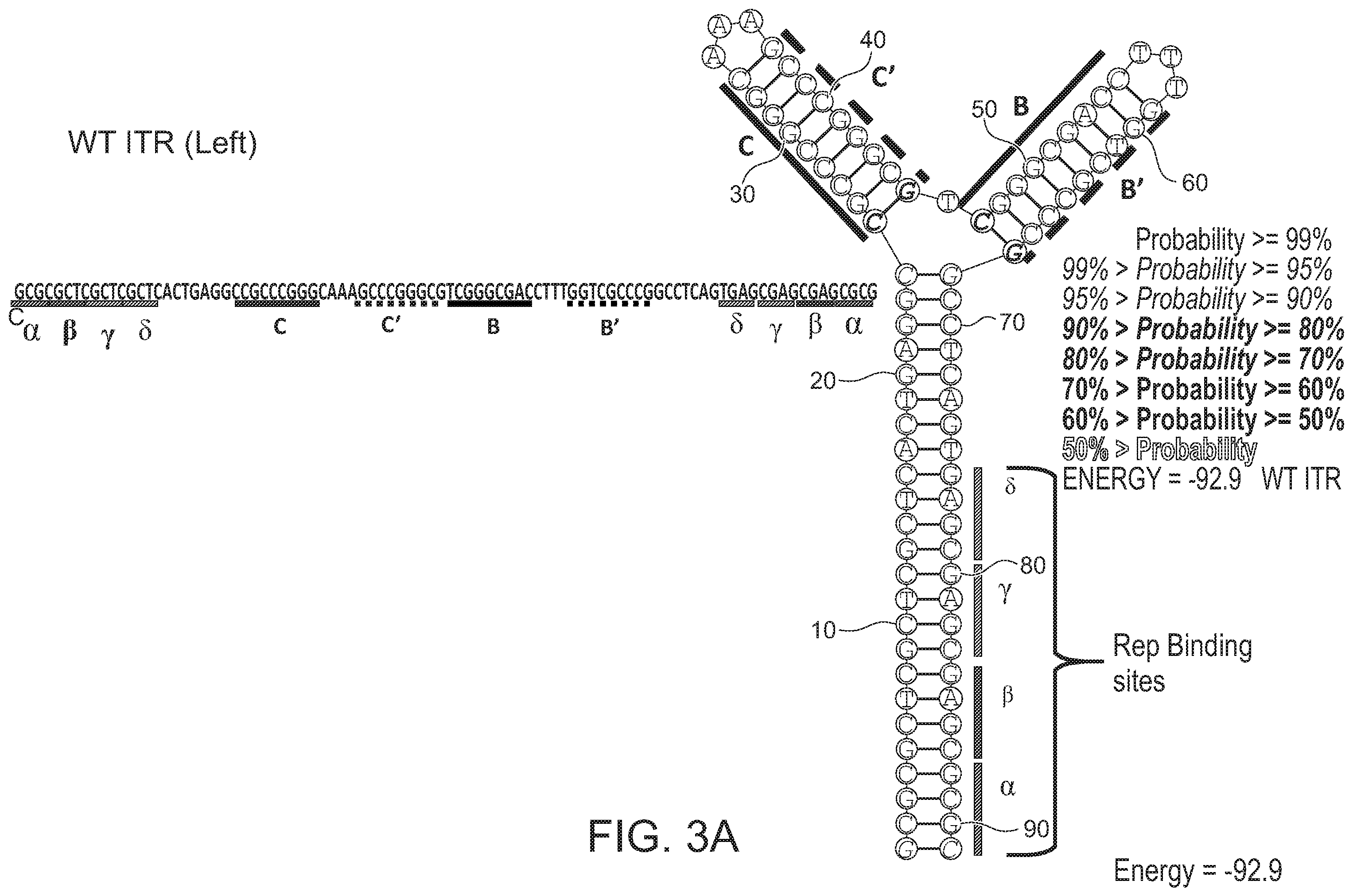 Patent US12338275 Figure 7 – Non-viral DNA vectors and uses thereof for expressing FVIII therapeutics