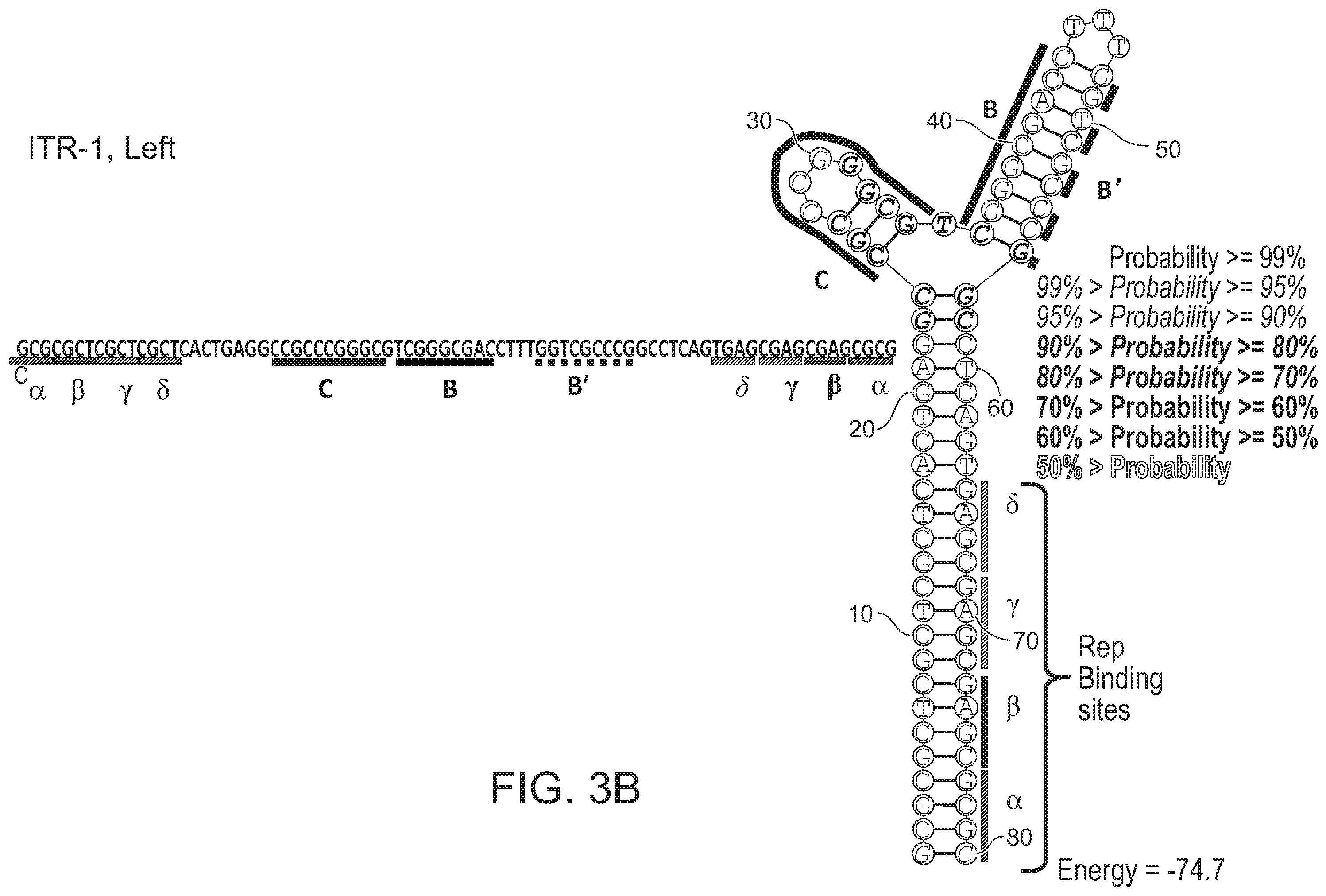 Patent US12338275 Figure 8 – Non-viral DNA vectors and uses thereof for expressing FVIII therapeutics