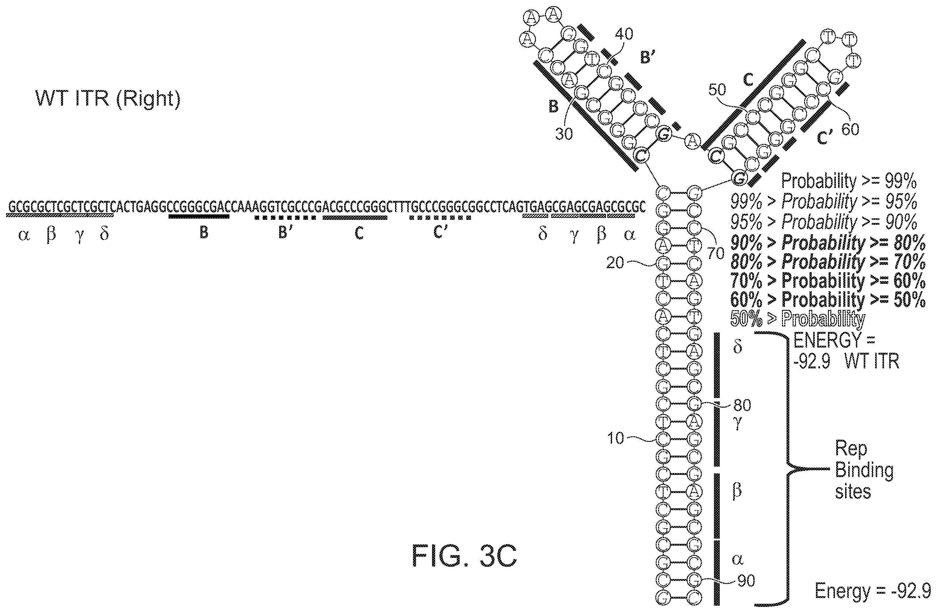 Patent US12338275 Figure 9 – Non-viral DNA vectors and uses thereof for expressing FVIII therapeutics